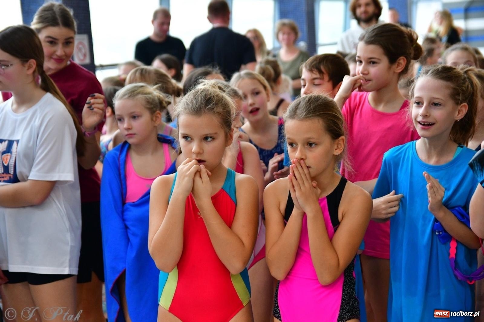 Zdjęcie w galerii na portalu naszraciborz.pl: IV Mistrzostwa Raciborza Szkół Podstawowych w pływaniu – sportowa rywalizacja na H2Ostróg zakończona wiadomości z regionu