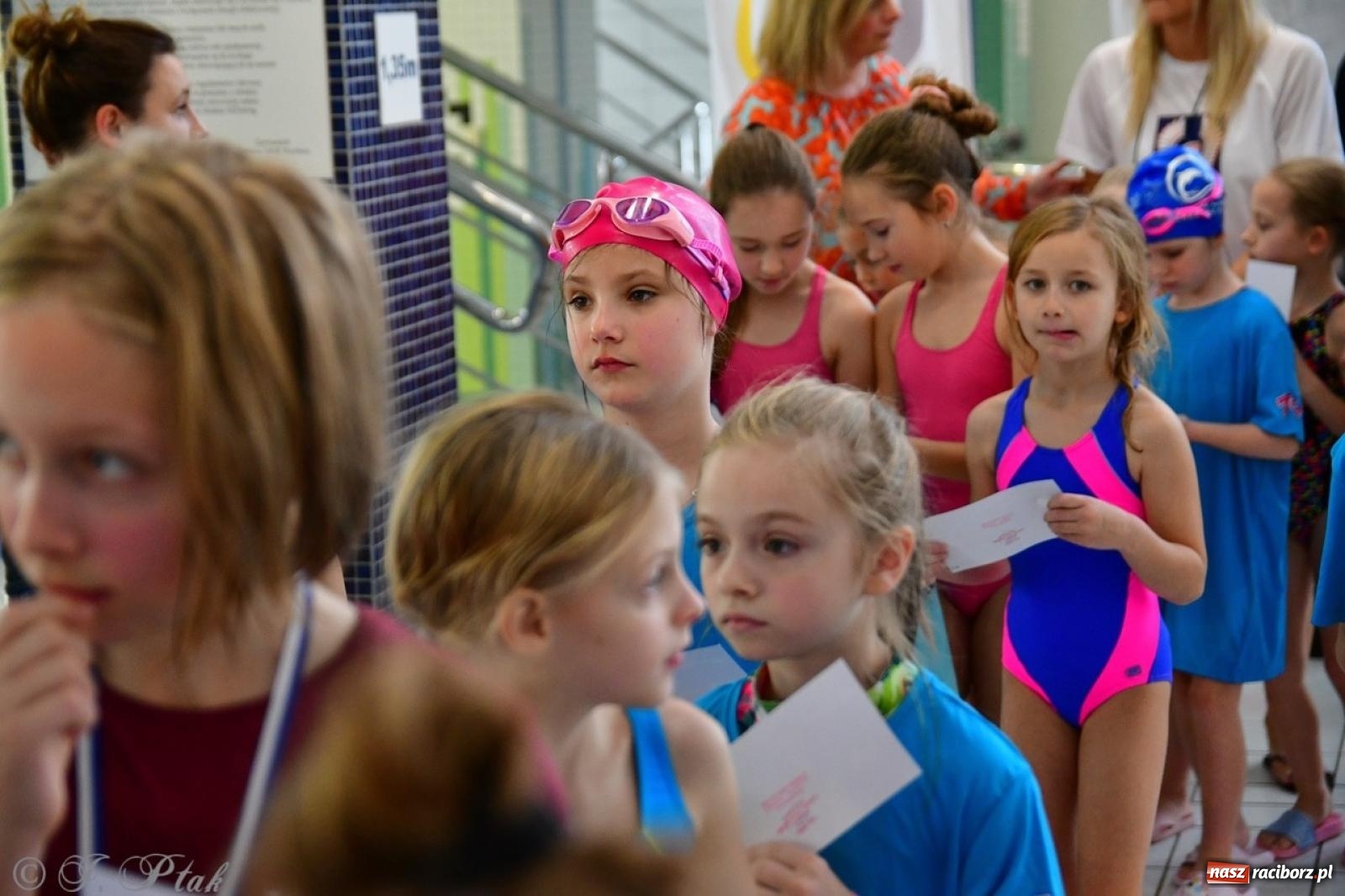 Zdjęcie w galerii na portalu naszraciborz.pl: IV Mistrzostwa Raciborza Szkół Podstawowych w pływaniu – sportowa rywalizacja na H2Ostróg zakończona wiadomości z regionu