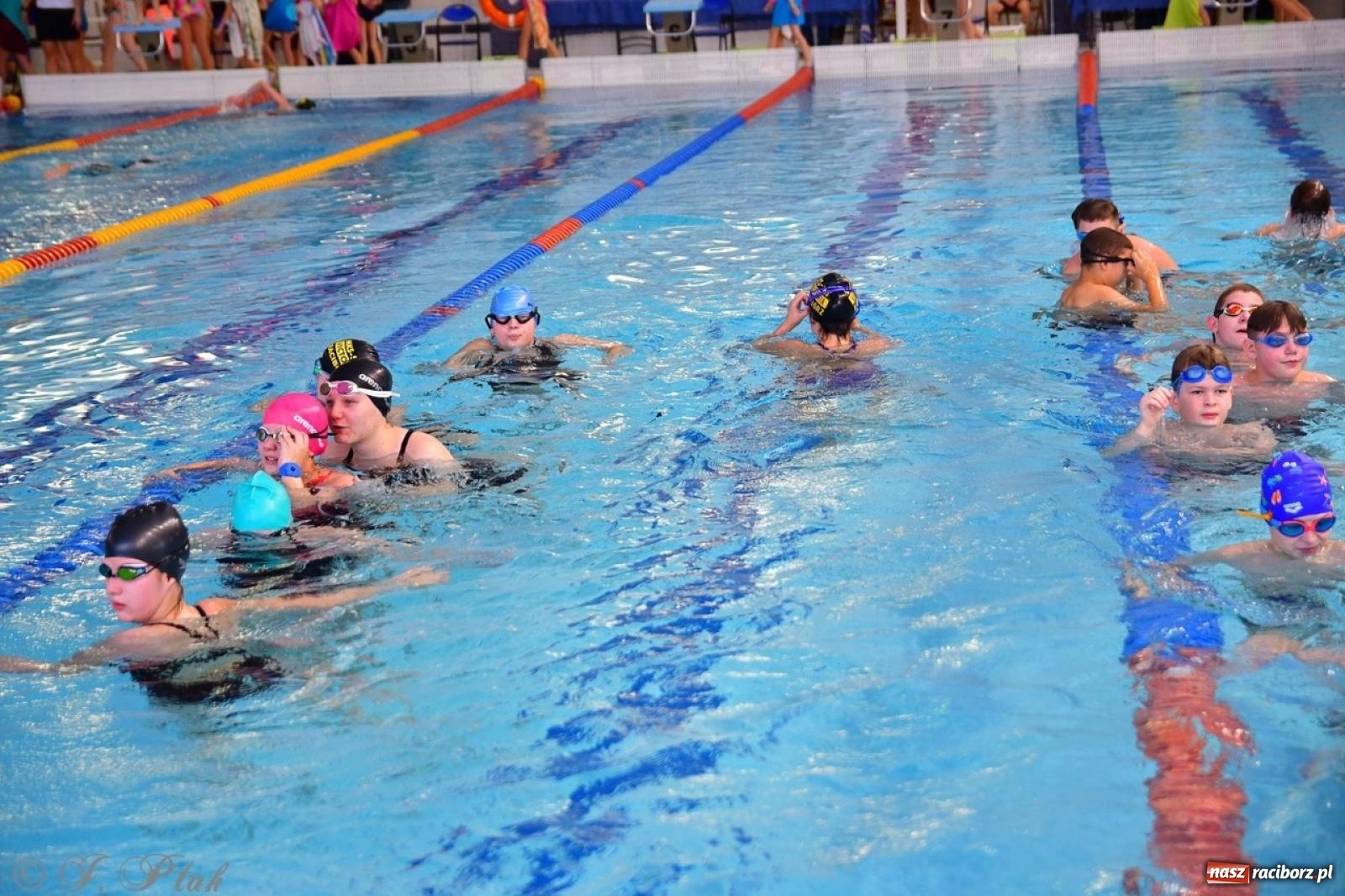 Zdjęcie w galerii na portalu naszraciborz.pl: IV Mistrzostwa Raciborza Szkół Podstawowych w pływaniu – sportowa rywalizacja na H2Ostróg zakończona wiadomości z regionu