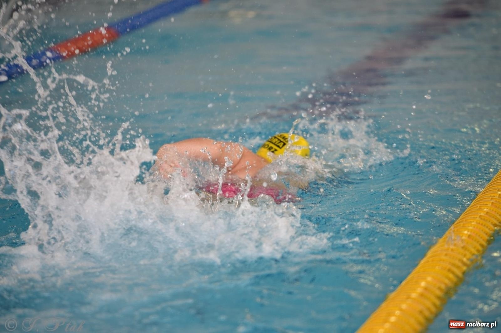 Zdjęcie w galerii na portalu naszraciborz.pl: IV Mistrzostwa Raciborza Szkół Podstawowych w pływaniu – sportowa rywalizacja na H2Ostróg zakończona wiadomości z regionu