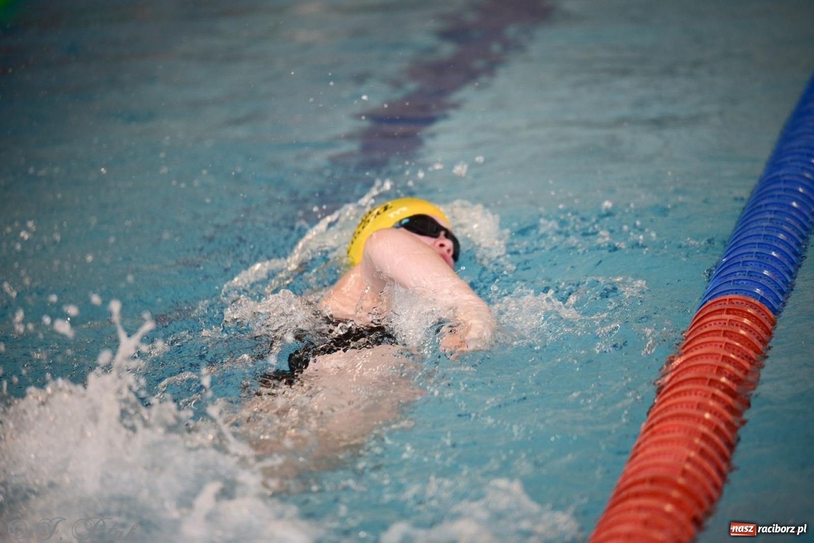 Zdjęcie w galerii na portalu naszraciborz.pl: IV Mistrzostwa Raciborza Szkół Podstawowych w pływaniu – sportowa rywalizacja na H2Ostróg zakończona wiadomości z regionu