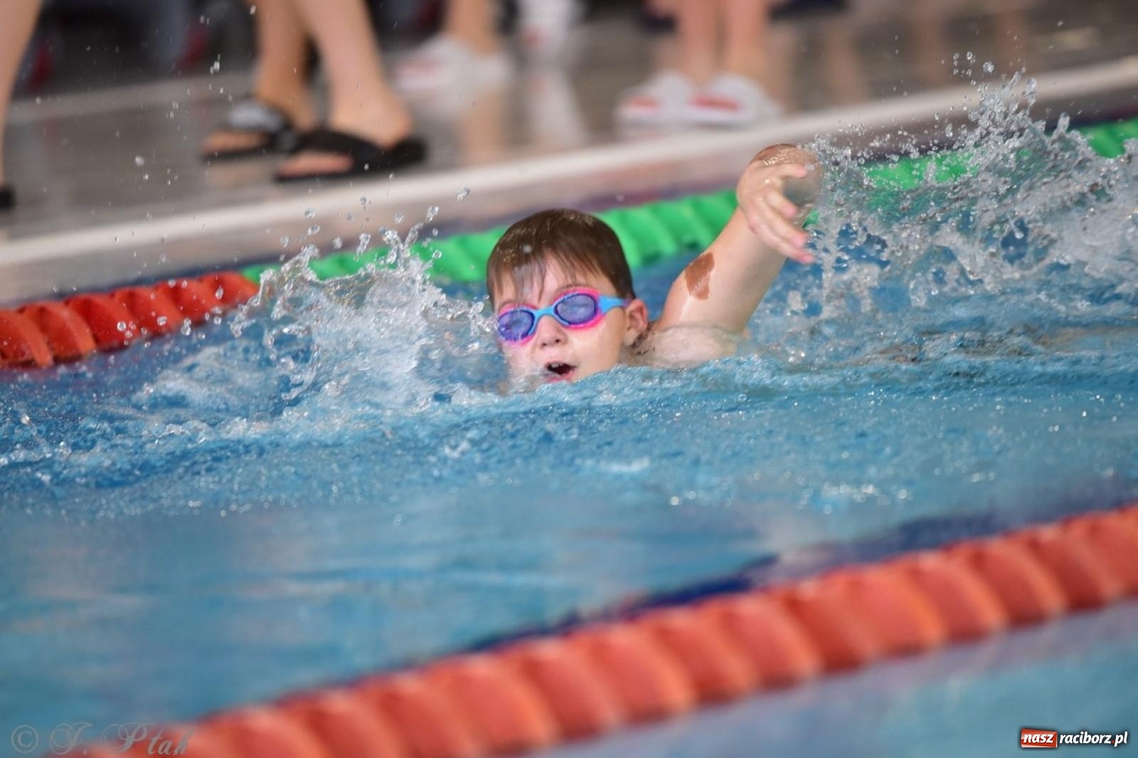 Zdjęcie w galerii na portalu naszraciborz.pl: IV Mistrzostwa Raciborza Szkół Podstawowych w pływaniu – sportowa rywalizacja na H2Ostróg zakończona wiadomości z regionu