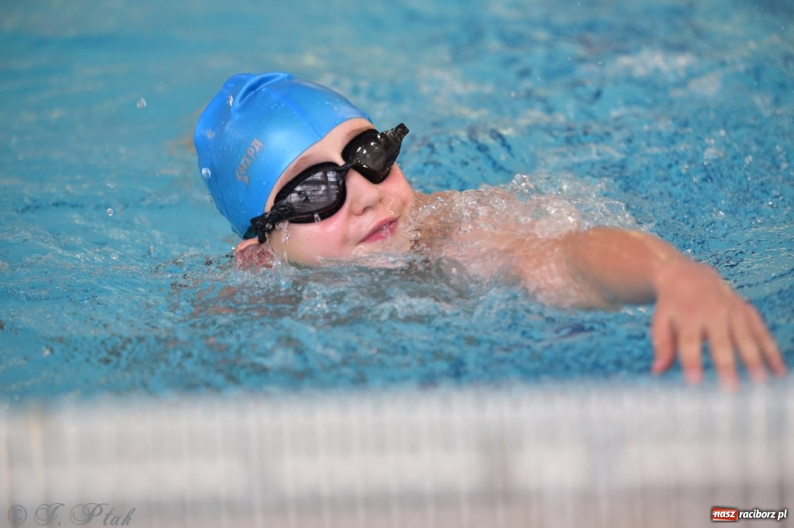 Zdjęcie w galerii na portalu naszraciborz.pl: IV Mistrzostwa Raciborza Szkół Podstawowych w pływaniu – sportowa rywalizacja na H2Ostróg zakończona wiadomości z regionu