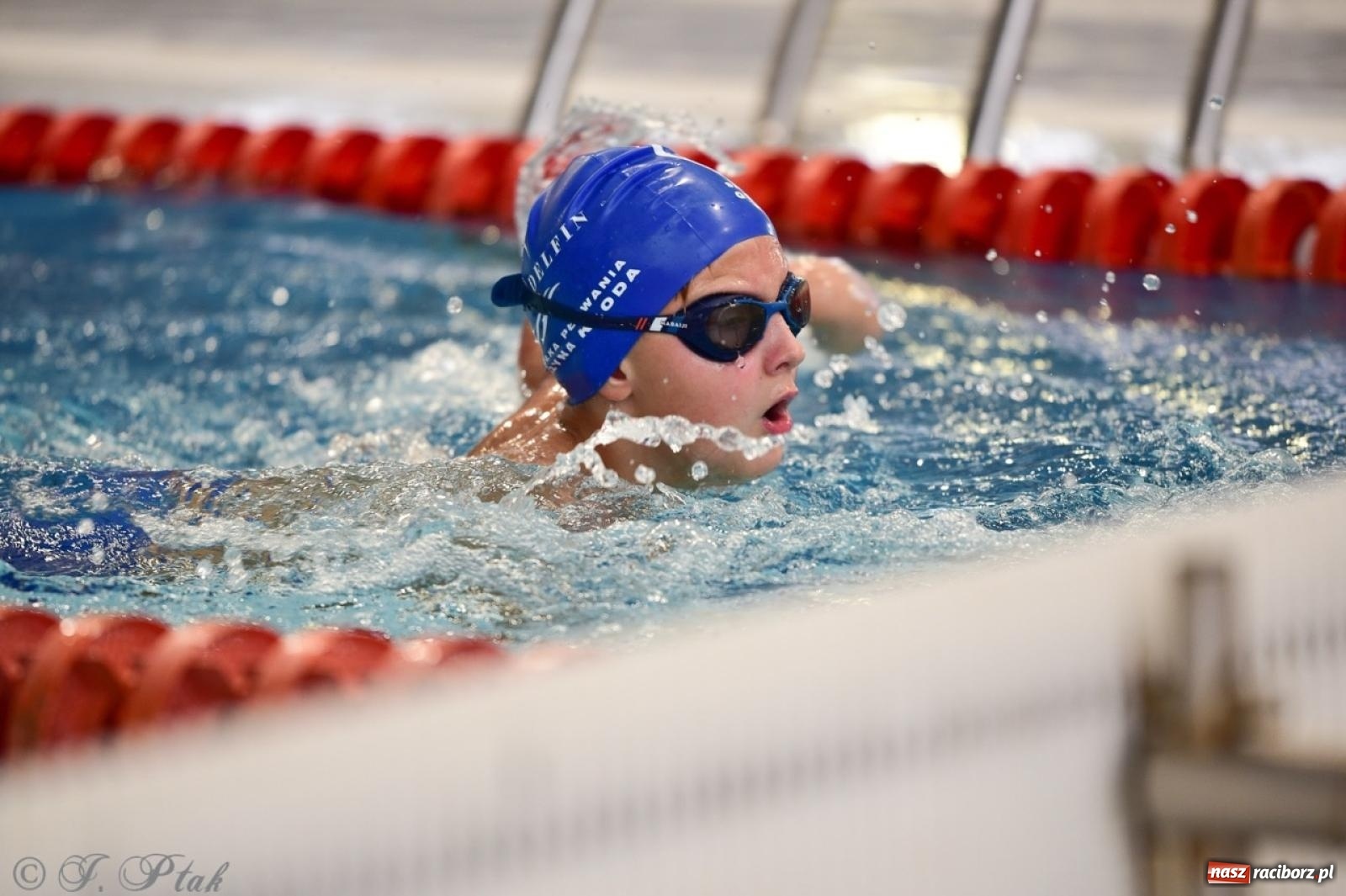 Zdjęcie w galerii na portalu naszraciborz.pl: IV Mistrzostwa Raciborza Szkół Podstawowych w pływaniu – sportowa rywalizacja na H2Ostróg zakończona wiadomości z regionu