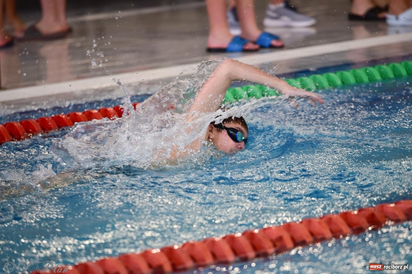 Zdjęcie w galerii na portalu naszraciborz.pl: IV Mistrzostwa Raciborza Szkół Podstawowych w pływaniu – sportowa rywalizacja na H2Ostróg zakończona wiadomości z regionu
