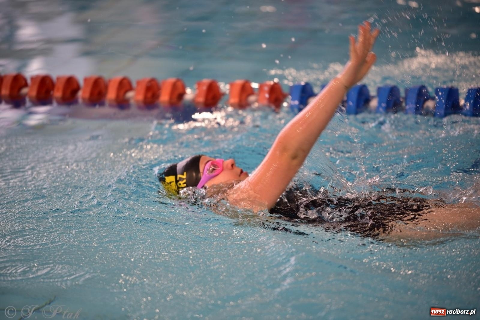Zdjęcie w galerii na portalu naszraciborz.pl: IV Mistrzostwa Raciborza Szkół Podstawowych w pływaniu – sportowa rywalizacja na H2Ostróg zakończona wiadomości z regionu