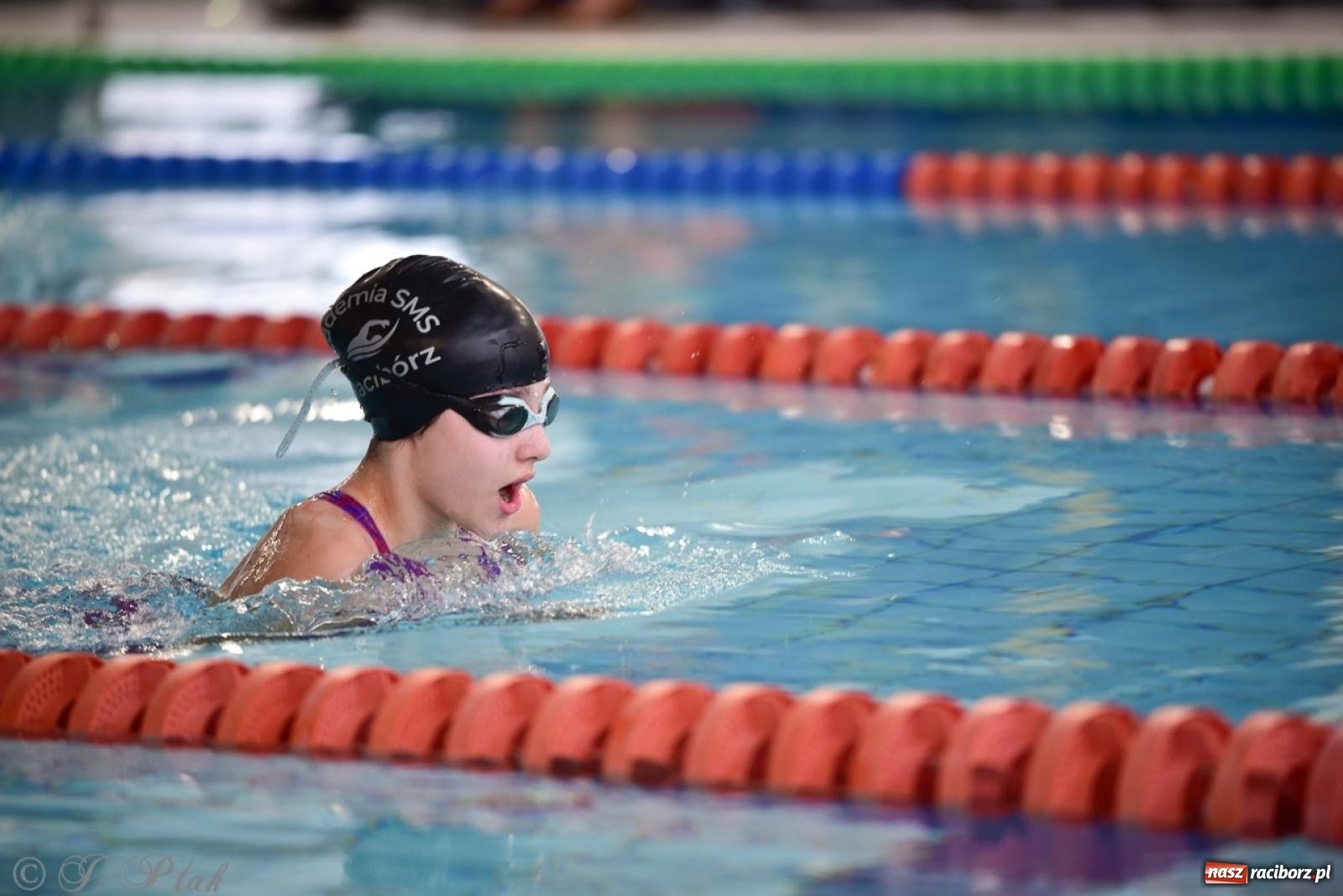 Zdjęcie w galerii na portalu naszraciborz.pl: IV Mistrzostwa Raciborza Szkół Podstawowych w pływaniu – sportowa rywalizacja na H2Ostróg zakończona wiadomości z regionu
