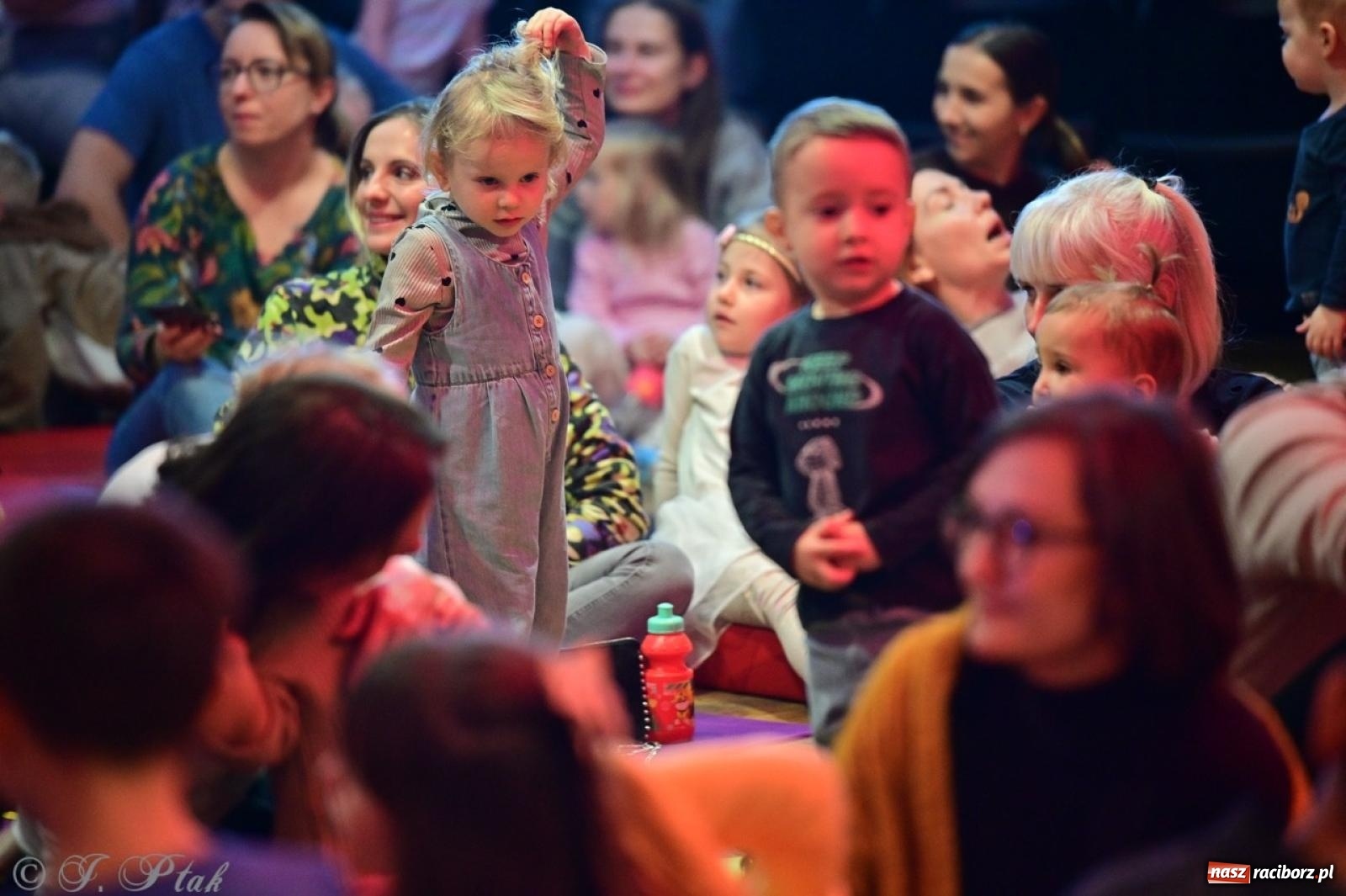 Zdjęcie w galerii na portalu naszraciborz.pl: Maluchy w krainie dźwięków. Muzyczna podróż z Trzema Prosiaczkami za nami! wiadomości z regionu