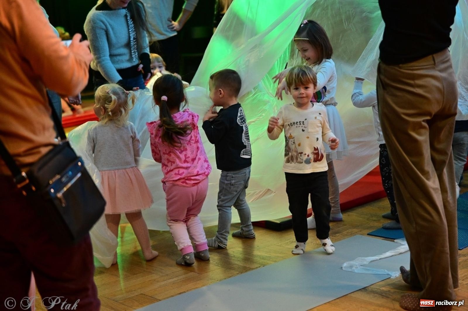 Zdjęcie w galerii na portalu naszraciborz.pl: Maluchy w krainie dźwięków. Muzyczna podróż z Trzema Prosiaczkami za nami! wiadomości z regionu