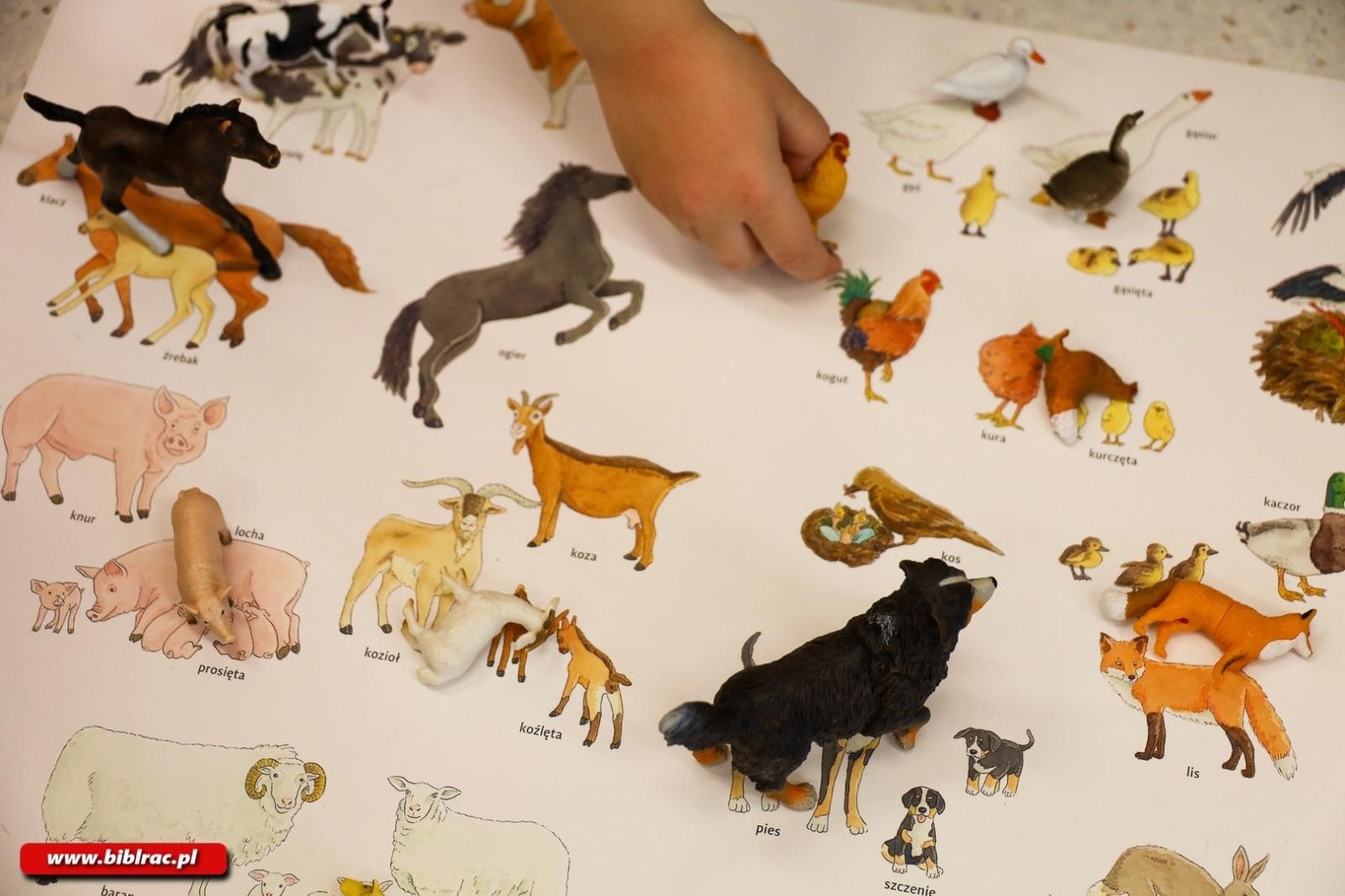 Zdjęcie w galerii na portalu naszraciborz.pl: O mądrych książkach dla dzieci w Klubie Ojca wiadomości z regionu