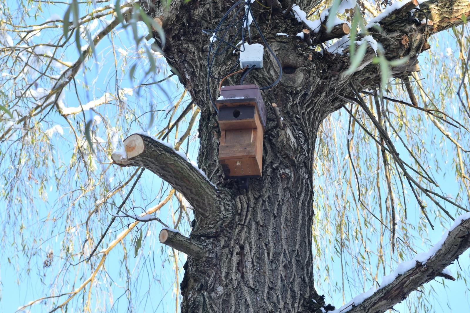 Zdjęcie w galerii na portalu naszraciborz.pl: Most między nauką a przyrodą: Obserwacja ptaków w Kuźni Raciborskiej wiadomości z regionu