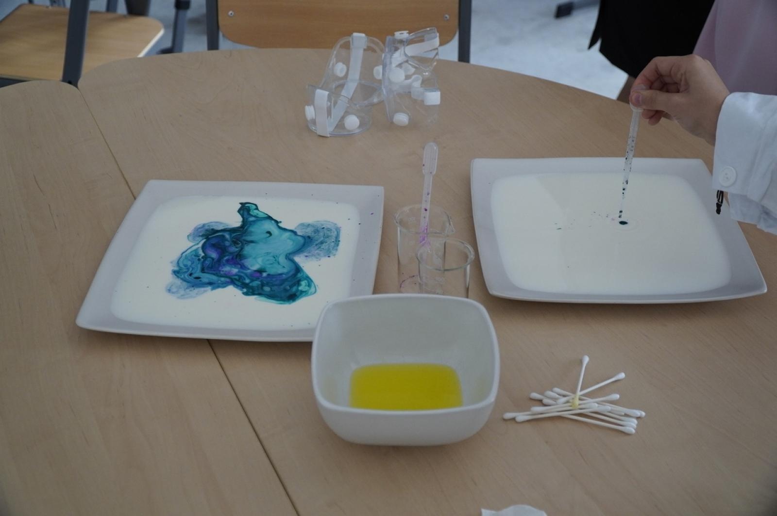 Zdjęcie w galerii na portalu naszraciborz.pl: Otwarcie Zielonej Pracowni w SP 1. Zielona wyspa Ostróg wiadomości z regionu