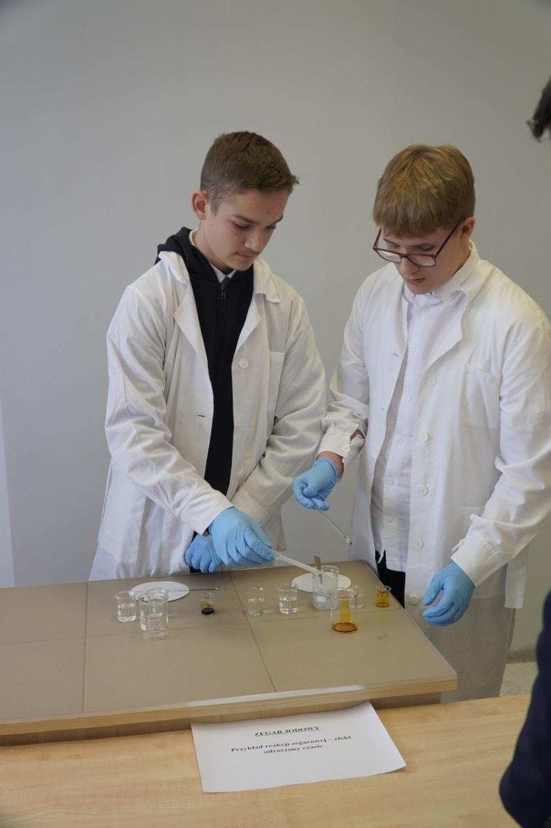 Zdjęcie w galerii na portalu naszraciborz.pl: Otwarcie Zielonej Pracowni w SP 1. Zielona wyspa Ostróg wiadomości z regionu