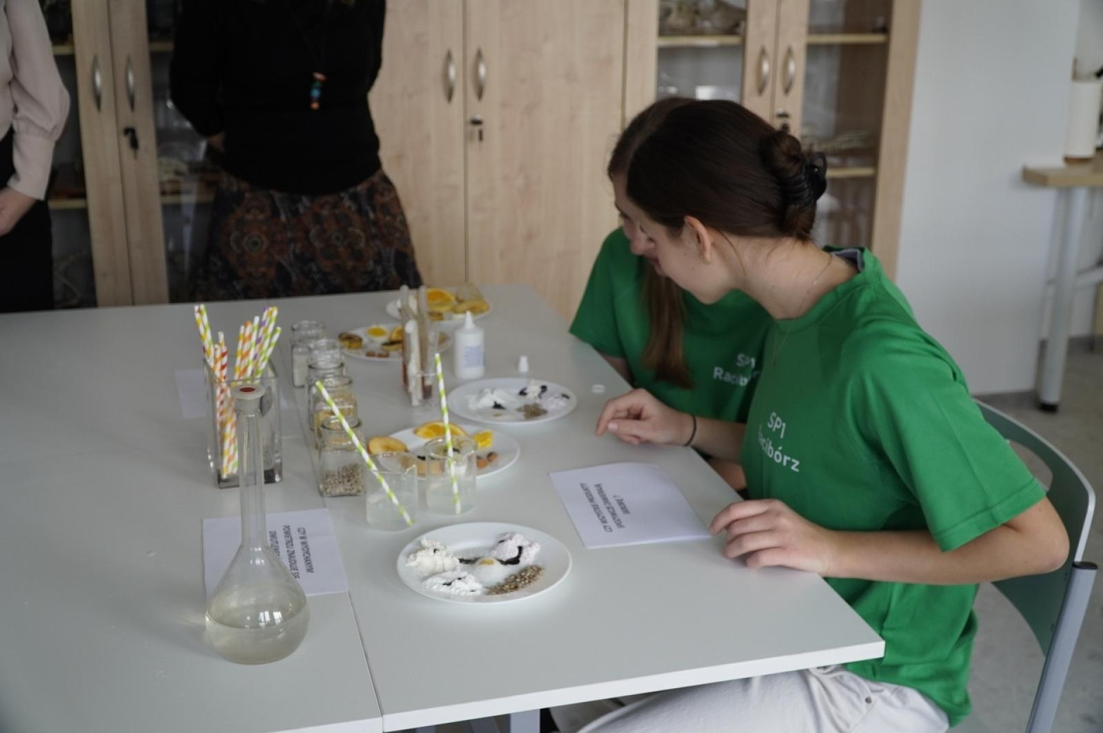 Zdjęcie w galerii na portalu naszraciborz.pl: Otwarcie Zielonej Pracowni w SP 1. Zielona wyspa Ostróg wiadomości z regionu