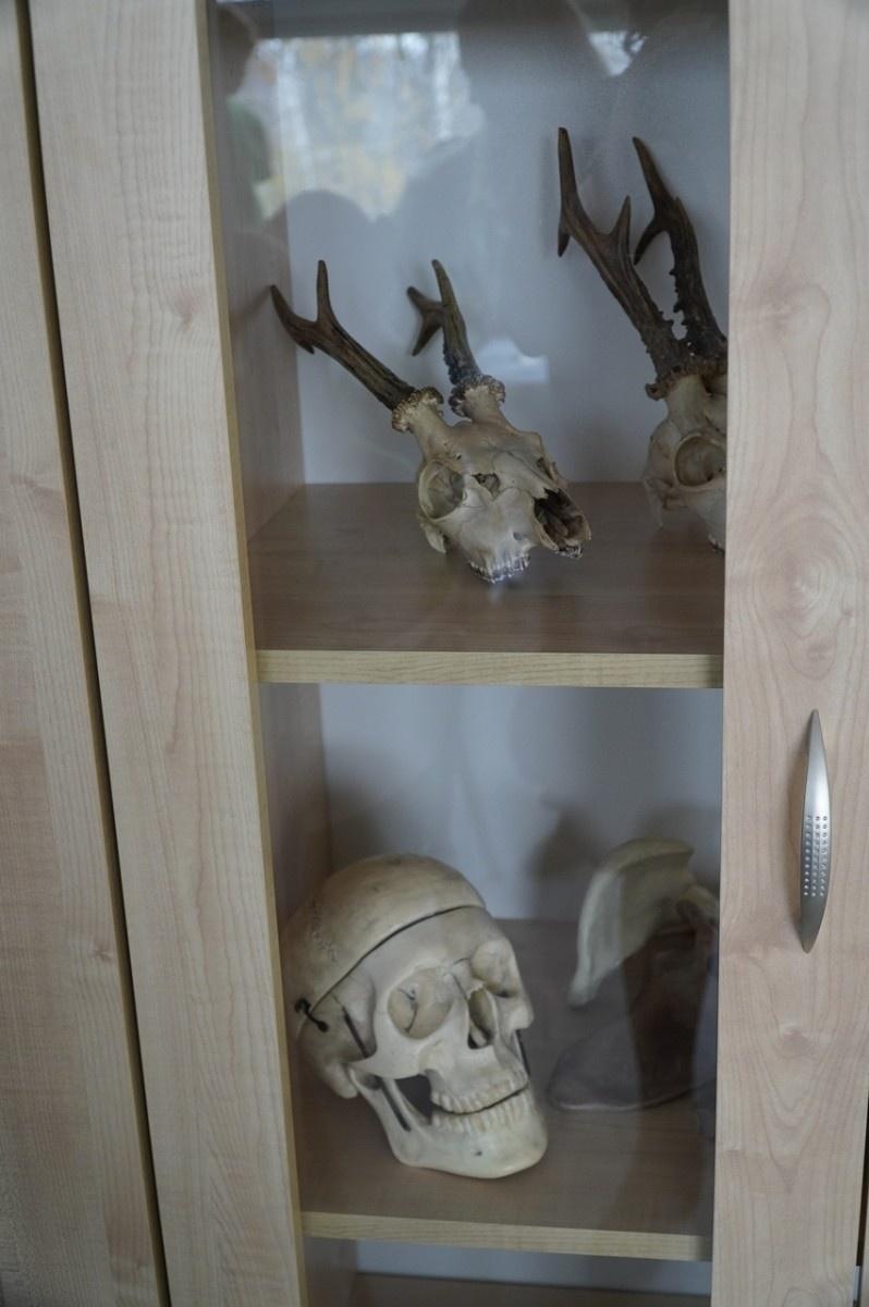 Zdjęcie w galerii na portalu naszraciborz.pl: Otwarcie Zielonej Pracowni w SP 1. Zielona wyspa Ostróg wiadomości z regionu