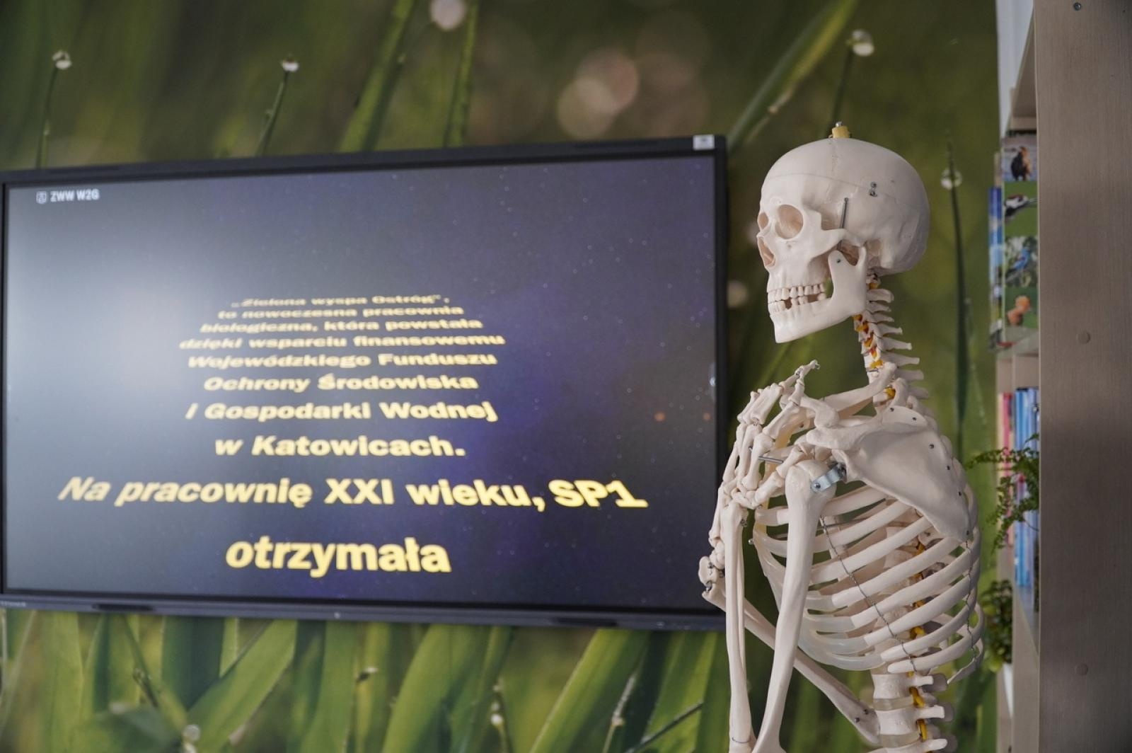 Zdjęcie w galerii na portalu naszraciborz.pl: Otwarcie Zielonej Pracowni w SP 1. Zielona wyspa Ostróg wiadomości z regionu