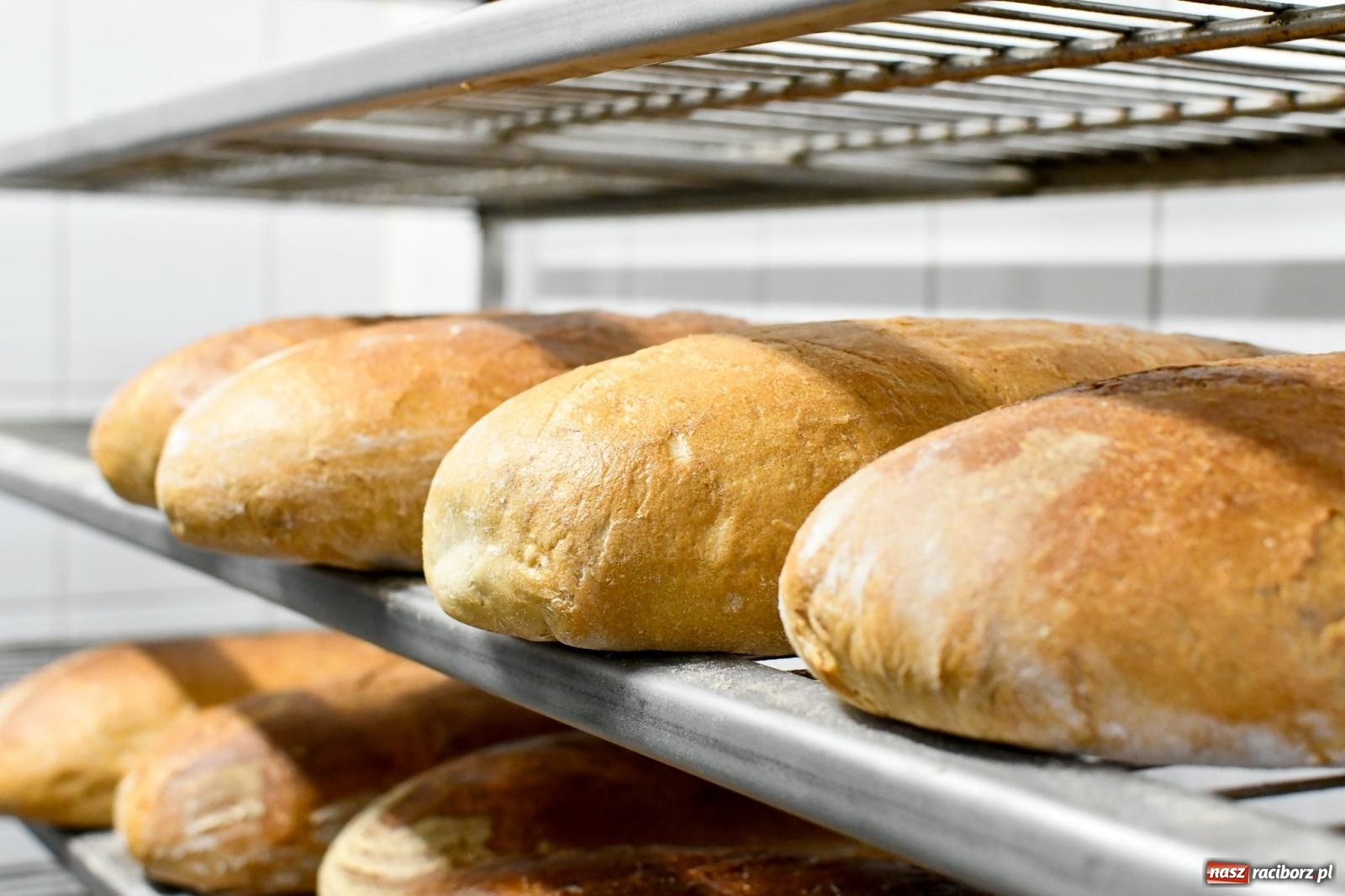 Zdjęcie w galerii na portalu naszraciborz.pl: Kandydujący na prezydenta K. Nawrocki o rodzinnych biznesach i cenach energii w Kornowacu wiadomości z regionu