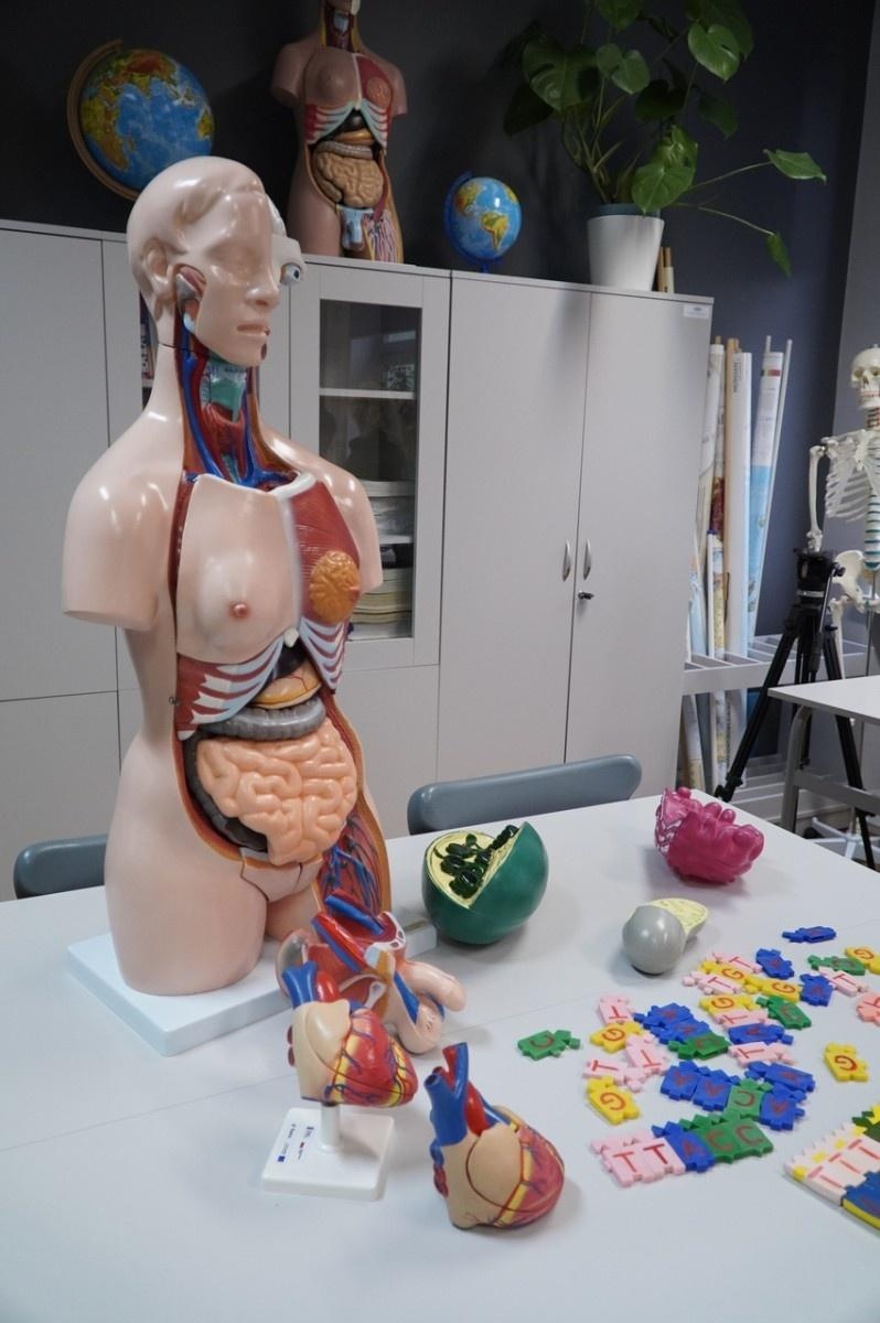 Zdjęcie w galerii na portalu naszraciborz.pl: Świat wokół nas - Zielona Pracownia w SP 13 już otwarta wiadomości z regionu