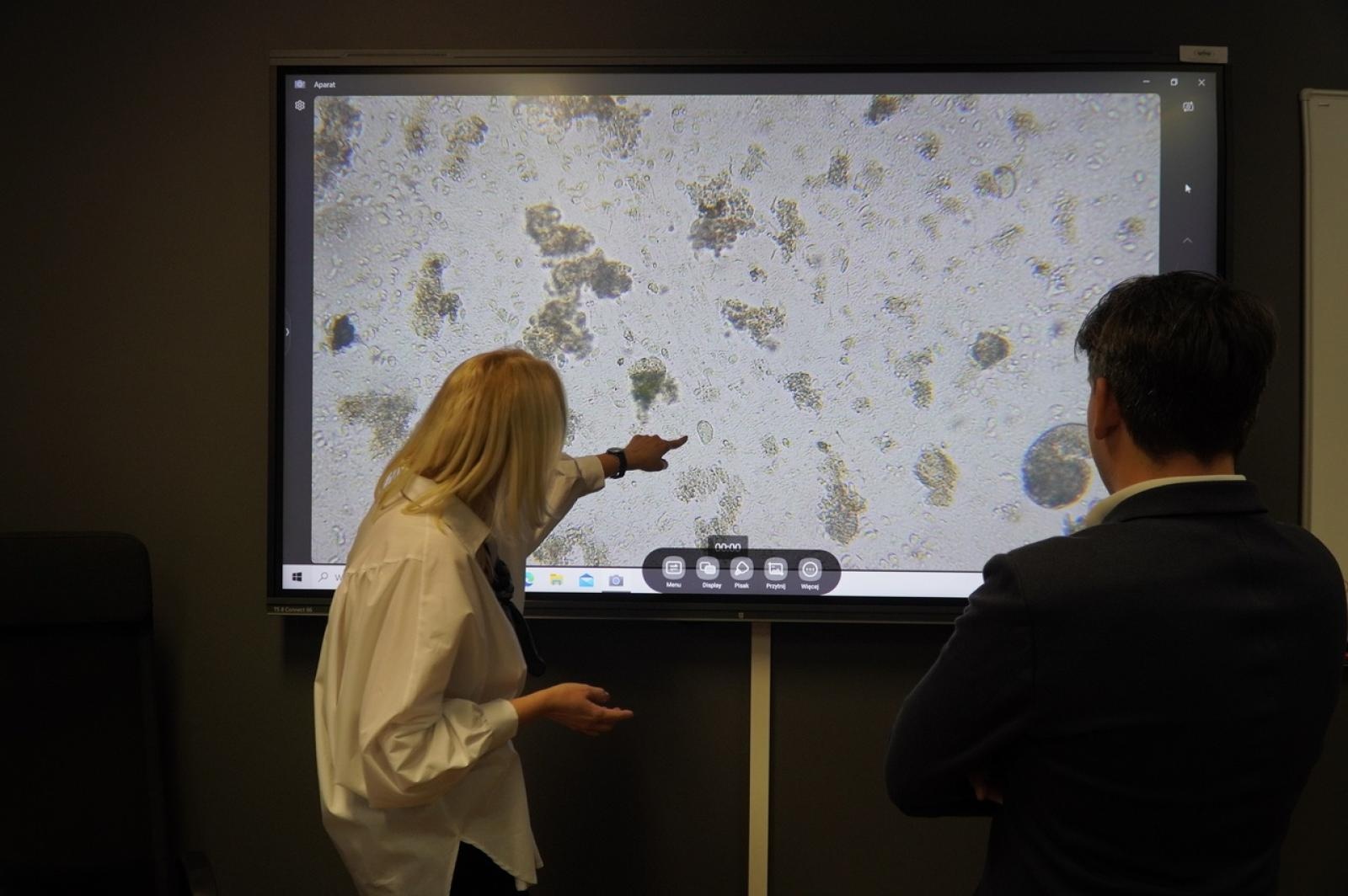 Zdjęcie w galerii na portalu naszraciborz.pl: Świat wokół nas - Zielona Pracownia w SP 13 już otwarta wiadomości z regionu