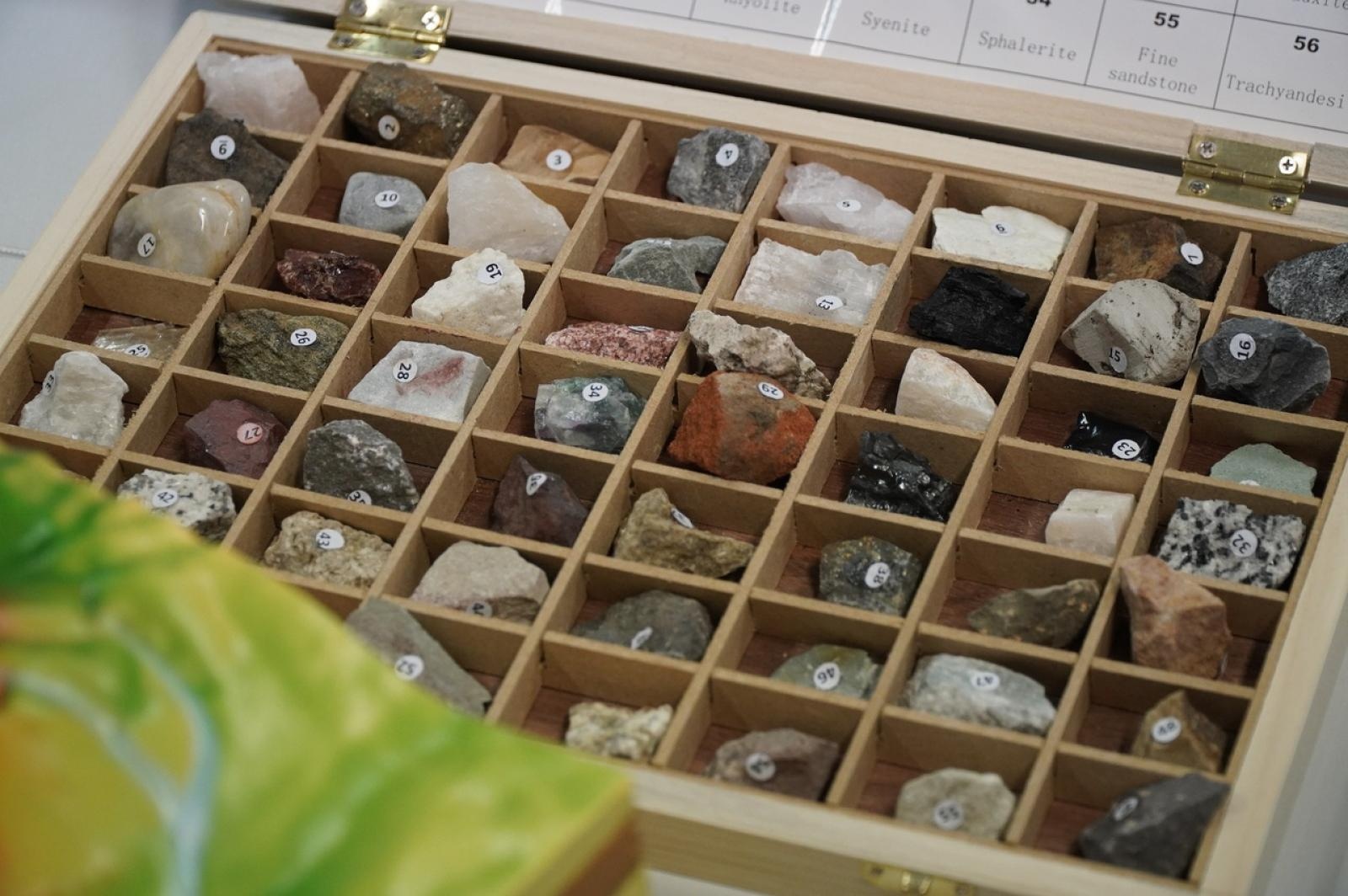 Zdjęcie w galerii na portalu naszraciborz.pl: Świat wokół nas - Zielona Pracownia w SP 13 już otwarta wiadomości z regionu