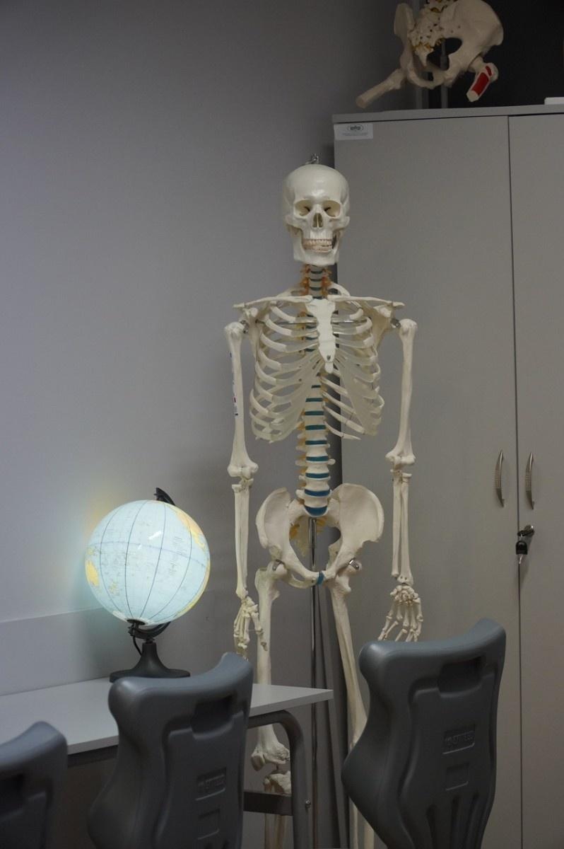 Zdjęcie w galerii na portalu naszraciborz.pl: Świat wokół nas - Zielona Pracownia w SP 13 już otwarta wiadomości z regionu