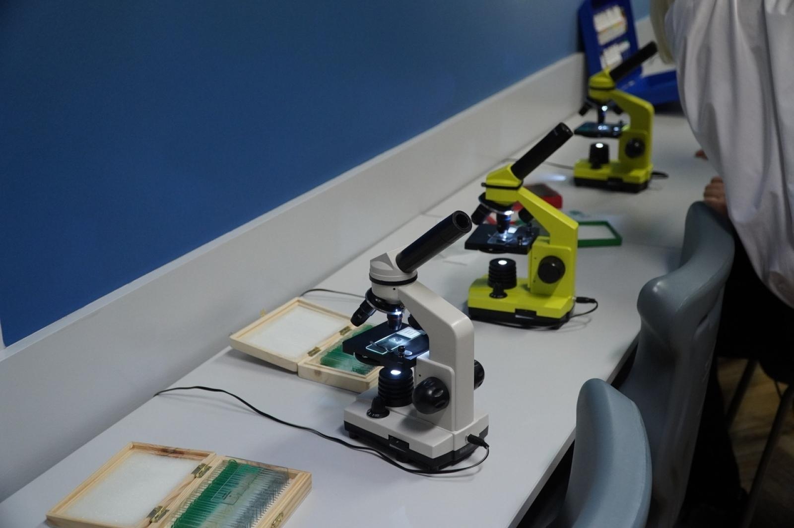 Zdjęcie w galerii na portalu naszraciborz.pl: Świat wokół nas - Zielona Pracownia w SP 13 już otwarta wiadomości z regionu