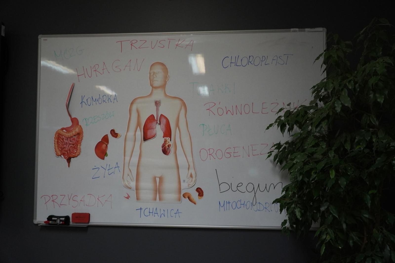 Zdjęcie w galerii na portalu naszraciborz.pl: Świat wokół nas - Zielona Pracownia w SP 13 już otwarta wiadomości z regionu