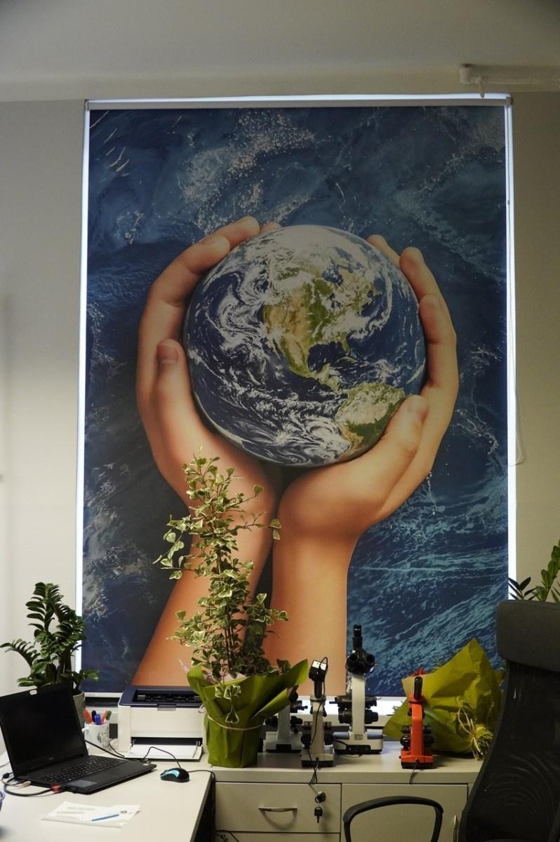 Zdjęcie w galerii na portalu naszraciborz.pl: Świat wokół nas - Zielona Pracownia w SP 13 już otwarta wiadomości z regionu