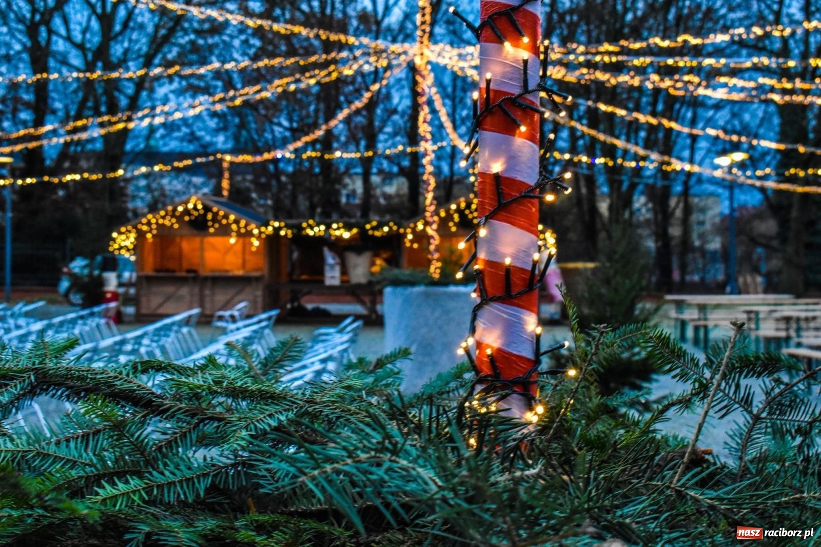 Zdjęcie w galerii na portalu naszraciborz.pl: Zamek gotowy na jarmark. Zobaczcie jak przystrojono dziedziniec [FOTO i WIDEO] wiadomości z regionu