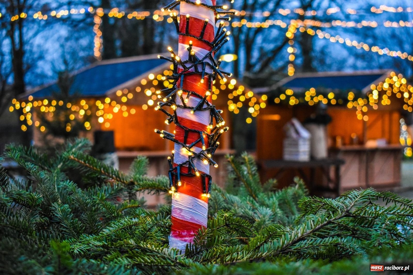 Zdjęcie w galerii na portalu naszraciborz.pl: Zamek gotowy na jarmark. Zobaczcie jak przystrojono dziedziniec [FOTO i WIDEO] wiadomości z regionu