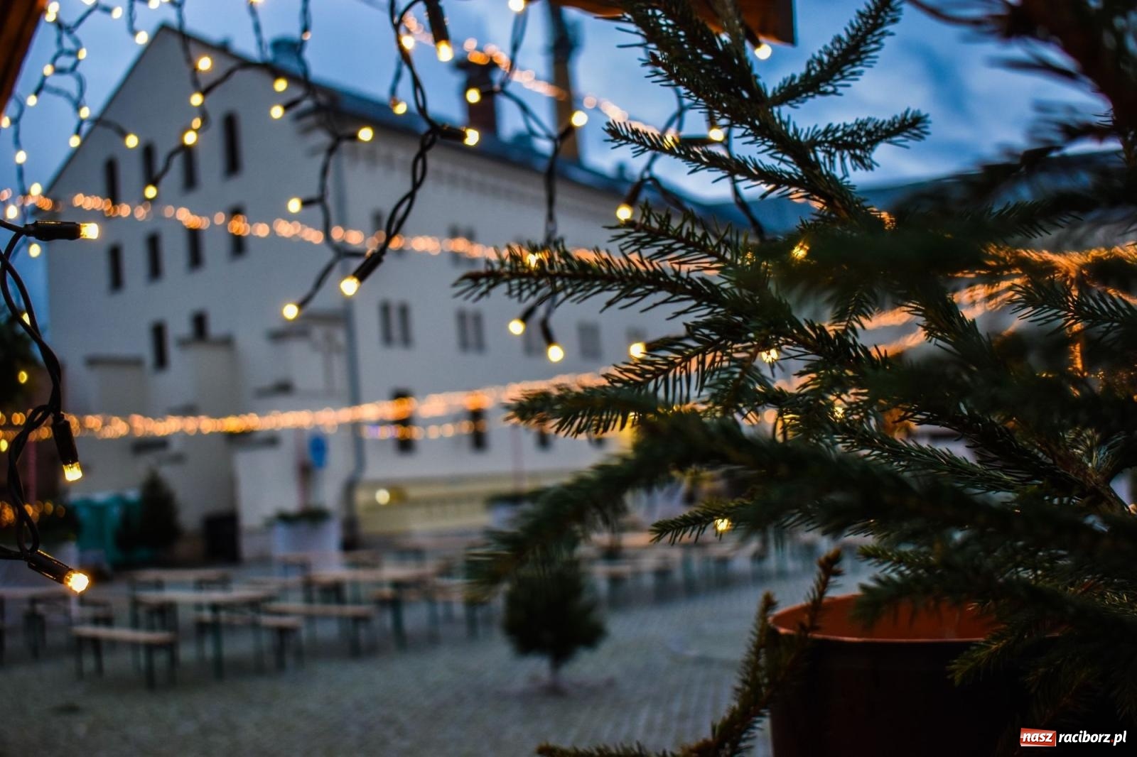Zdjęcie w galerii na portalu naszraciborz.pl: Zamek gotowy na jarmark. Zobaczcie jak przystrojono dziedziniec [FOTO i WIDEO] wiadomości z regionu
