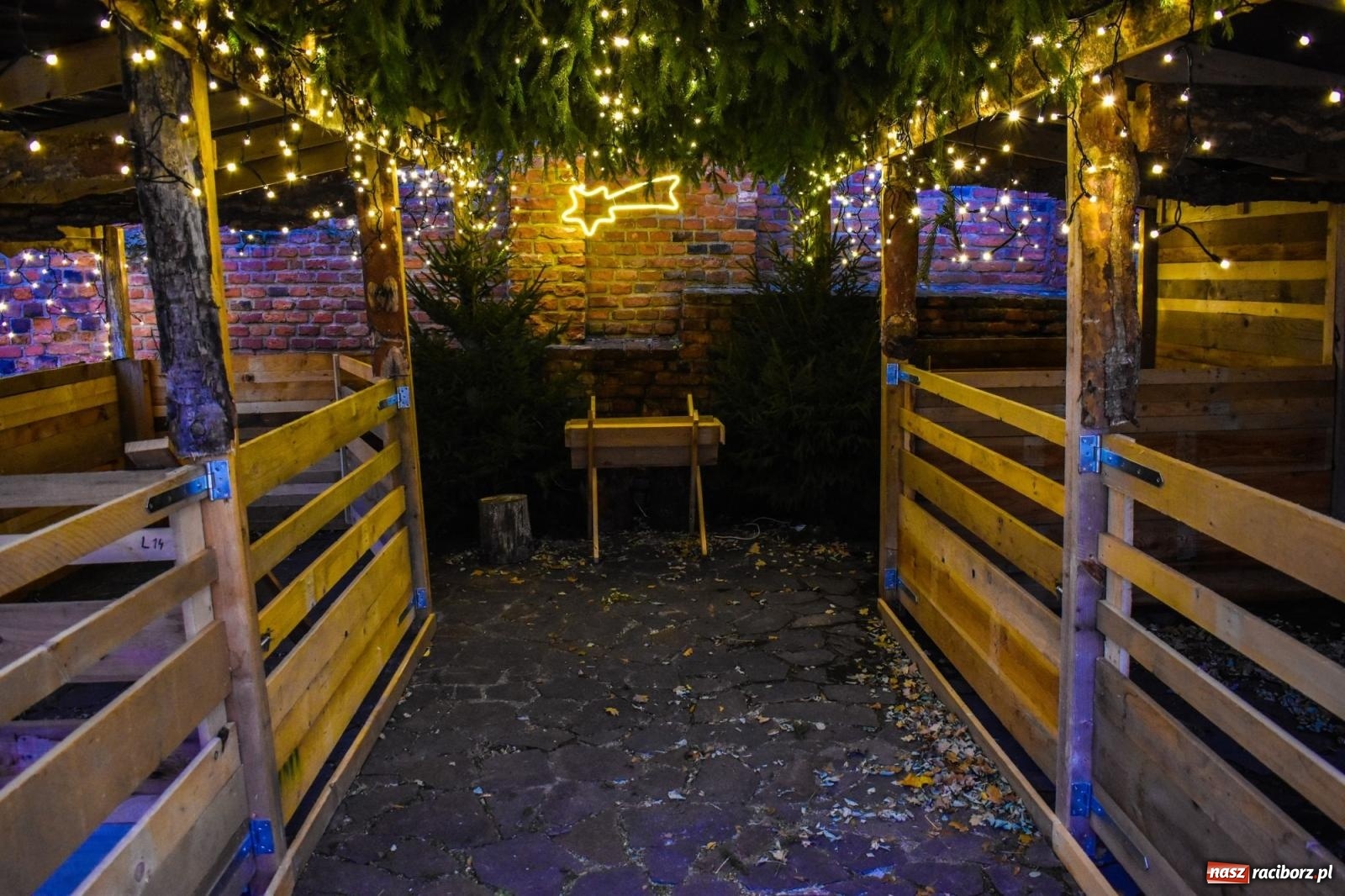 Zdjęcie w galerii na portalu naszraciborz.pl: Zamek gotowy na jarmark. Zobaczcie jak przystrojono dziedziniec [FOTO i WIDEO] wiadomości z regionu