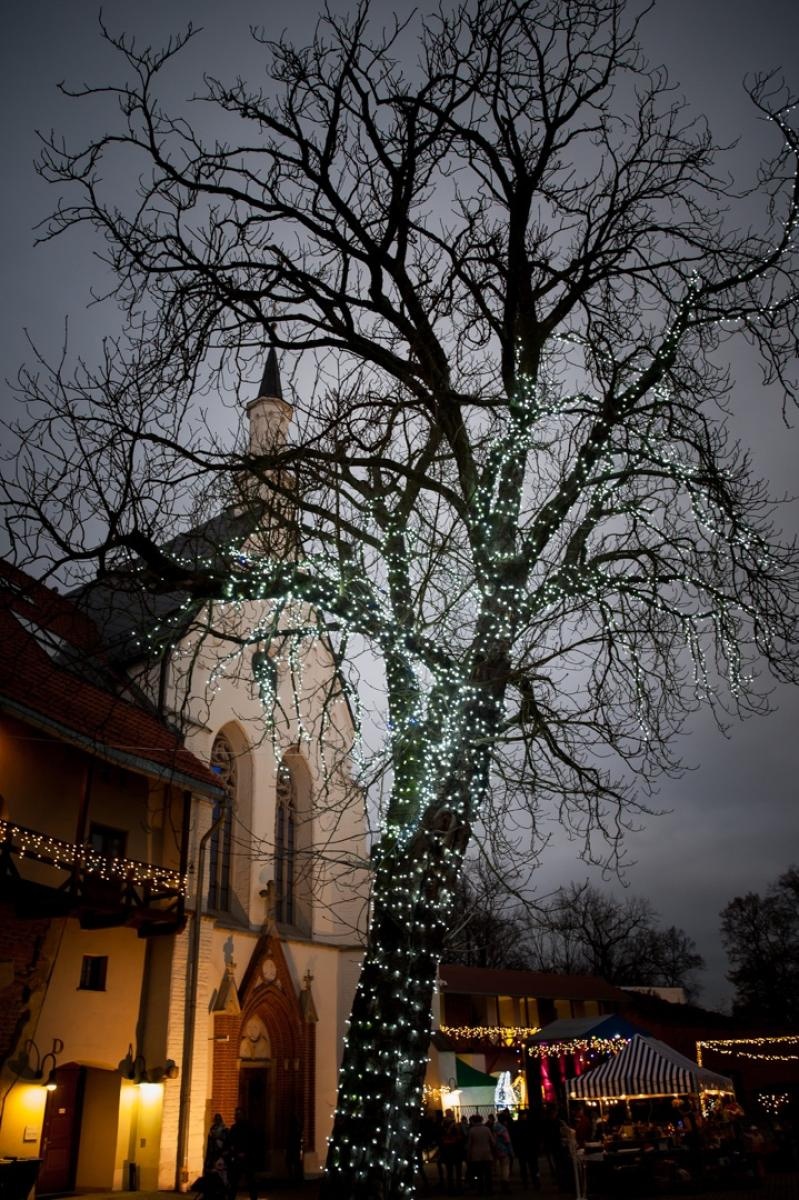 Zdjęcie w galerii na portalu naszraciborz.pl: Magia zamkowego jarmarku przyciągnęła tłumy [FOTO i WIDEO] wiadomości z regionu