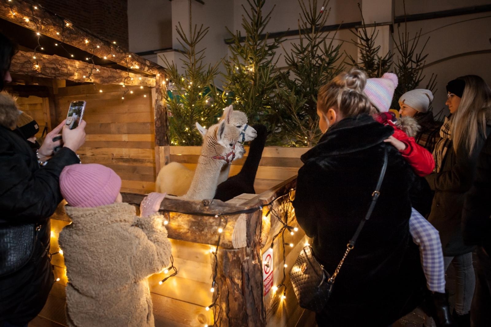 Zdjęcie w galerii na portalu naszraciborz.pl: Magia zamkowego jarmarku przyciągnęła tłumy [FOTO i WIDEO] wiadomości z regionu