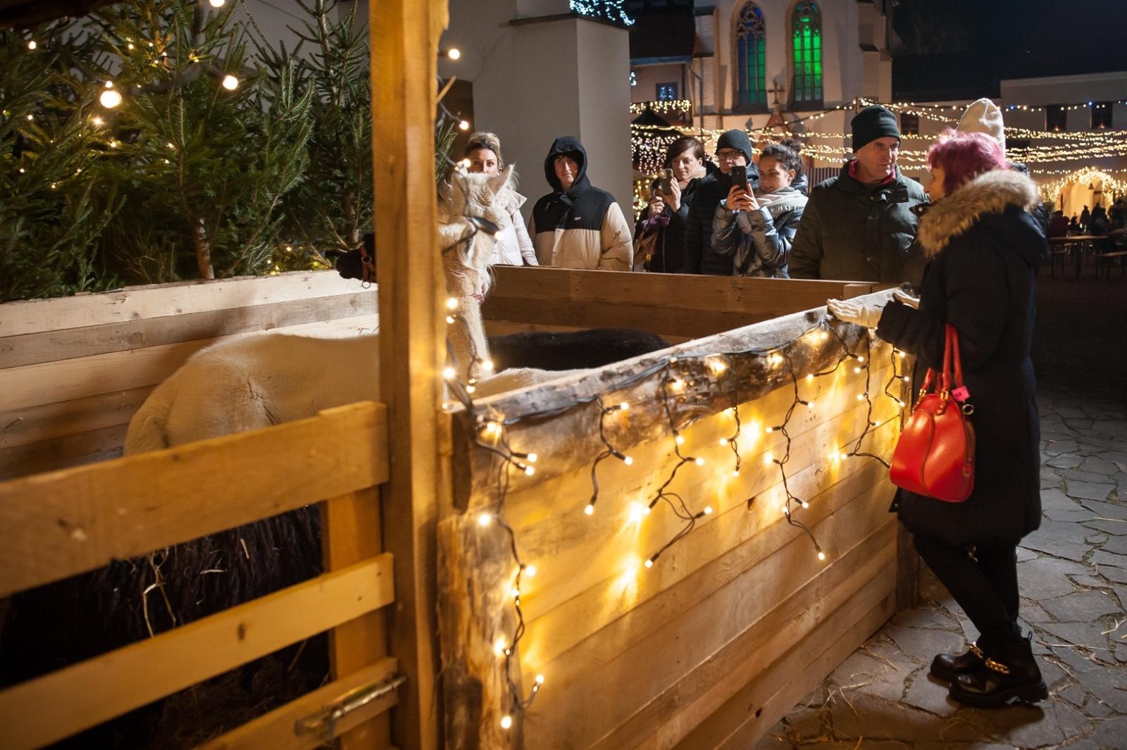 Zdjęcie w galerii na portalu naszraciborz.pl: Magia zamkowego jarmarku przyciągnęła tłumy [FOTO i WIDEO] wiadomości z regionu
