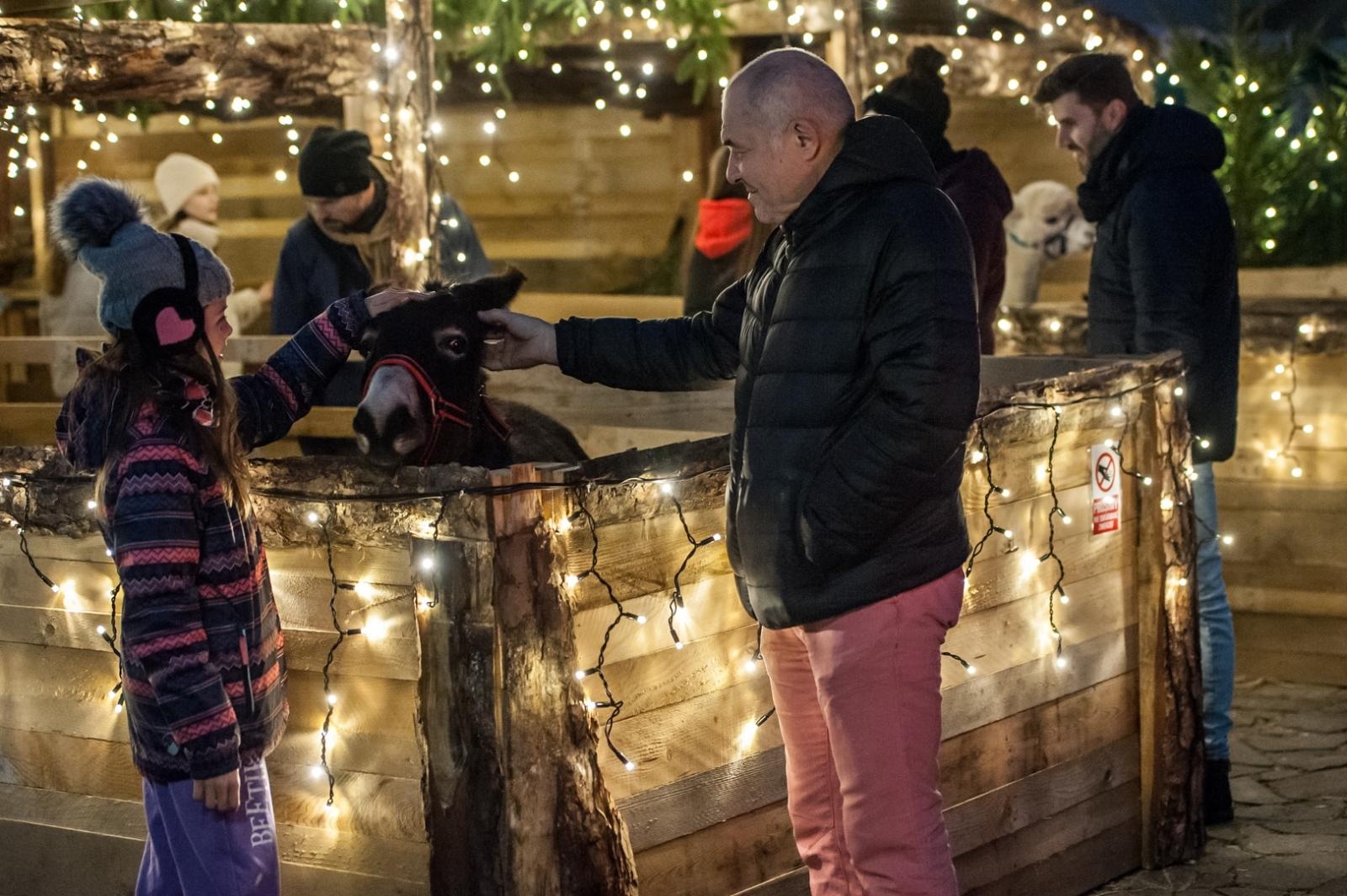 Zdjęcie w galerii na portalu naszraciborz.pl: Magia zamkowego jarmarku przyciągnęła tłumy [FOTO i WIDEO] wiadomości z regionu