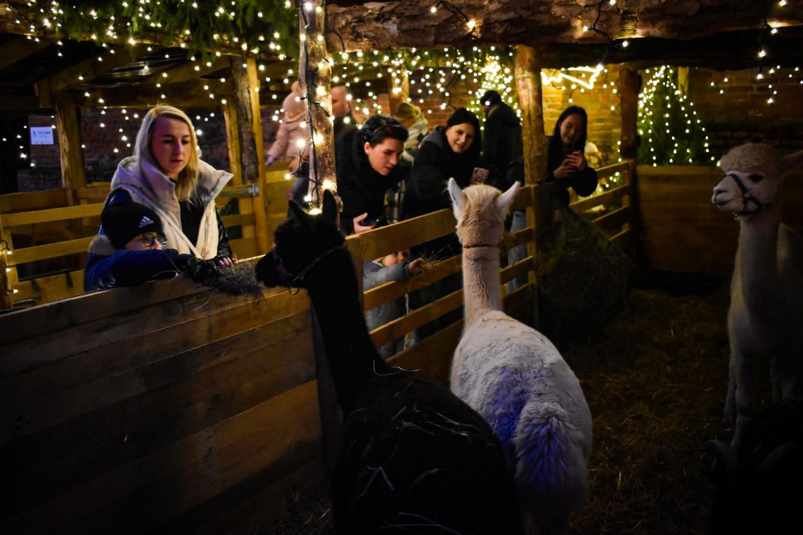 Zdjęcie w galerii na portalu naszraciborz.pl: Magia zamkowego jarmarku przyciągnęła tłumy [FOTO i WIDEO] wiadomości z regionu