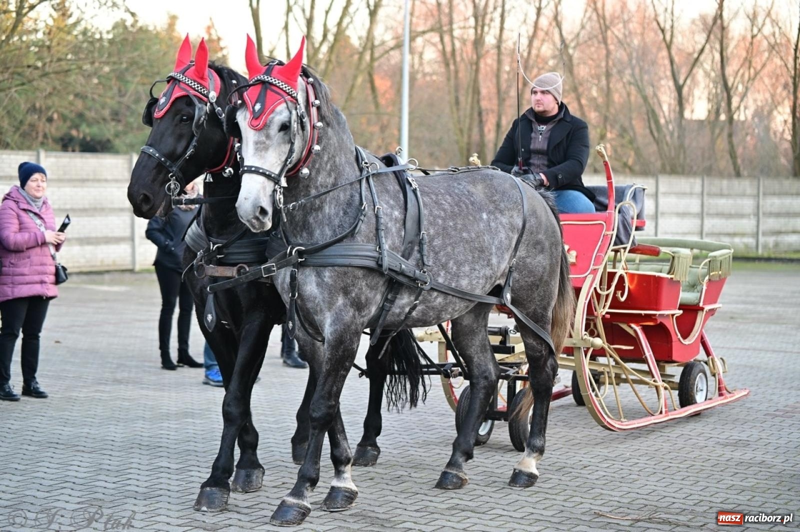 Zdjęcie w galerii na portalu naszraciborz.pl: Tłumy na Kiermaszu Bożonarodzeniowym w Pietrowicach Wielkich [FOTO i WIDEO] wiadomości z regionu