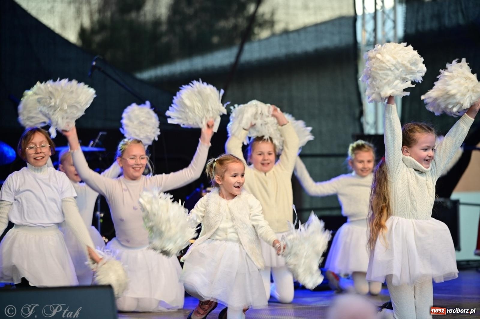 Zdjęcie w galerii na portalu naszraciborz.pl: Tłumy na Kiermaszu Bożonarodzeniowym w Pietrowicach Wielkich [FOTO i WIDEO] wiadomości z regionu