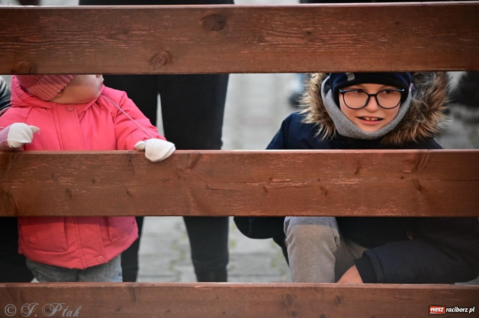 Zdjęcie w galerii na portalu naszraciborz.pl: Tłumy na Kiermaszu Bożonarodzeniowym w Pietrowicach Wielkich [FOTO i WIDEO] wiadomości z regionu