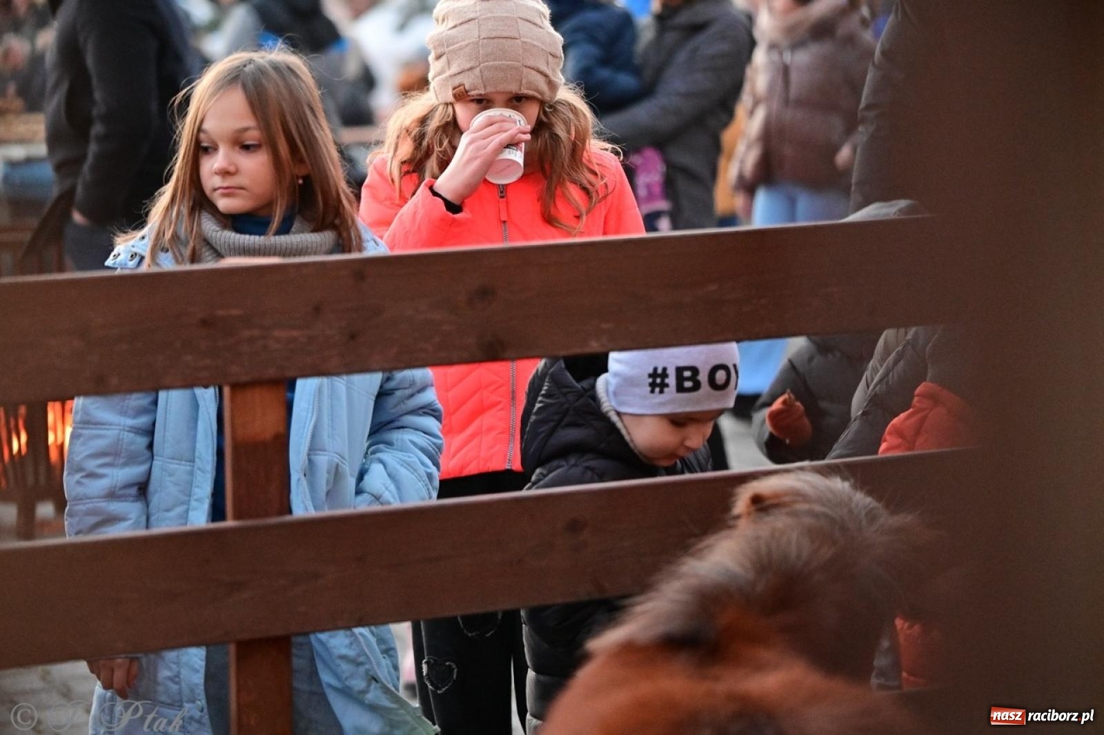Zdjęcie w galerii na portalu naszraciborz.pl: Tłumy na Kiermaszu Bożonarodzeniowym w Pietrowicach Wielkich [FOTO i WIDEO] wiadomości z regionu