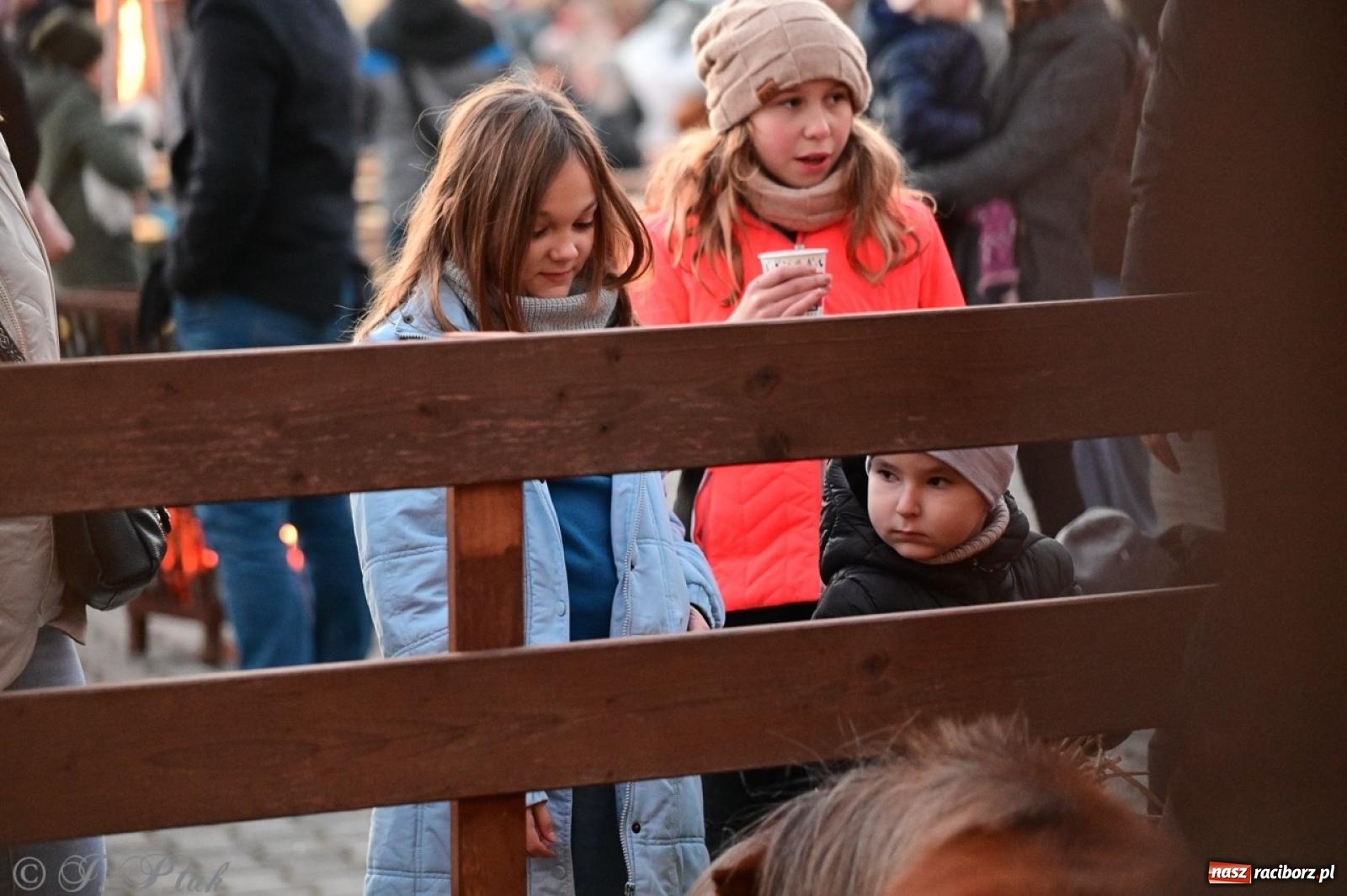 Zdjęcie w galerii na portalu naszraciborz.pl: Tłumy na Kiermaszu Bożonarodzeniowym w Pietrowicach Wielkich [FOTO i WIDEO] wiadomości z regionu
