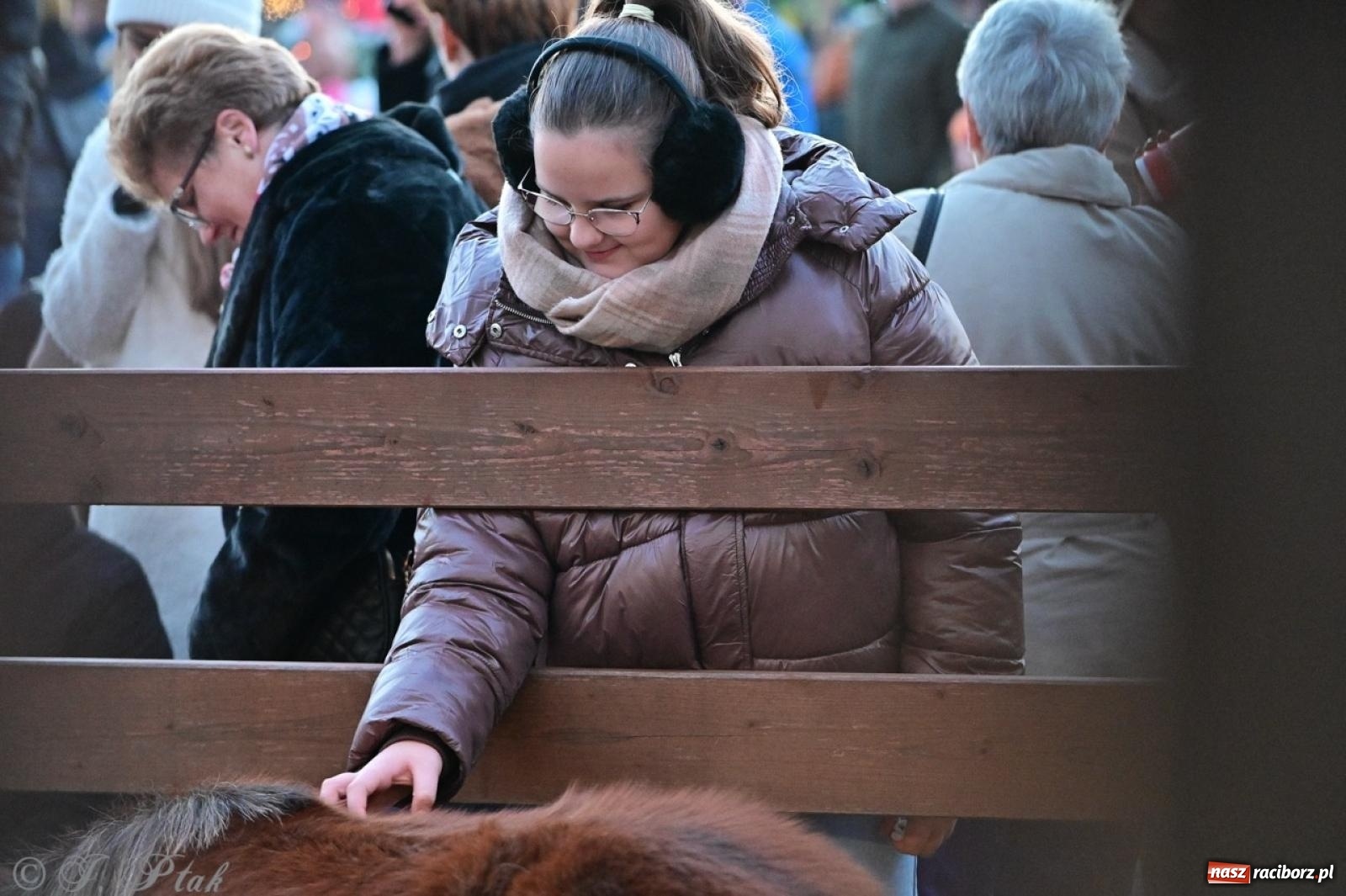 Zdjęcie w galerii na portalu naszraciborz.pl: Tłumy na Kiermaszu Bożonarodzeniowym w Pietrowicach Wielkich [FOTO i WIDEO] wiadomości z regionu