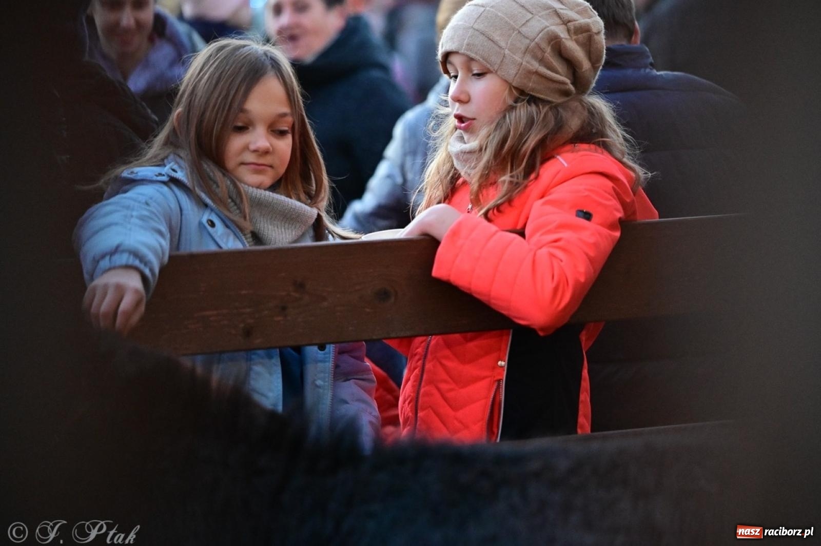 Zdjęcie w galerii na portalu naszraciborz.pl: Tłumy na Kiermaszu Bożonarodzeniowym w Pietrowicach Wielkich [FOTO i WIDEO] wiadomości z regionu
