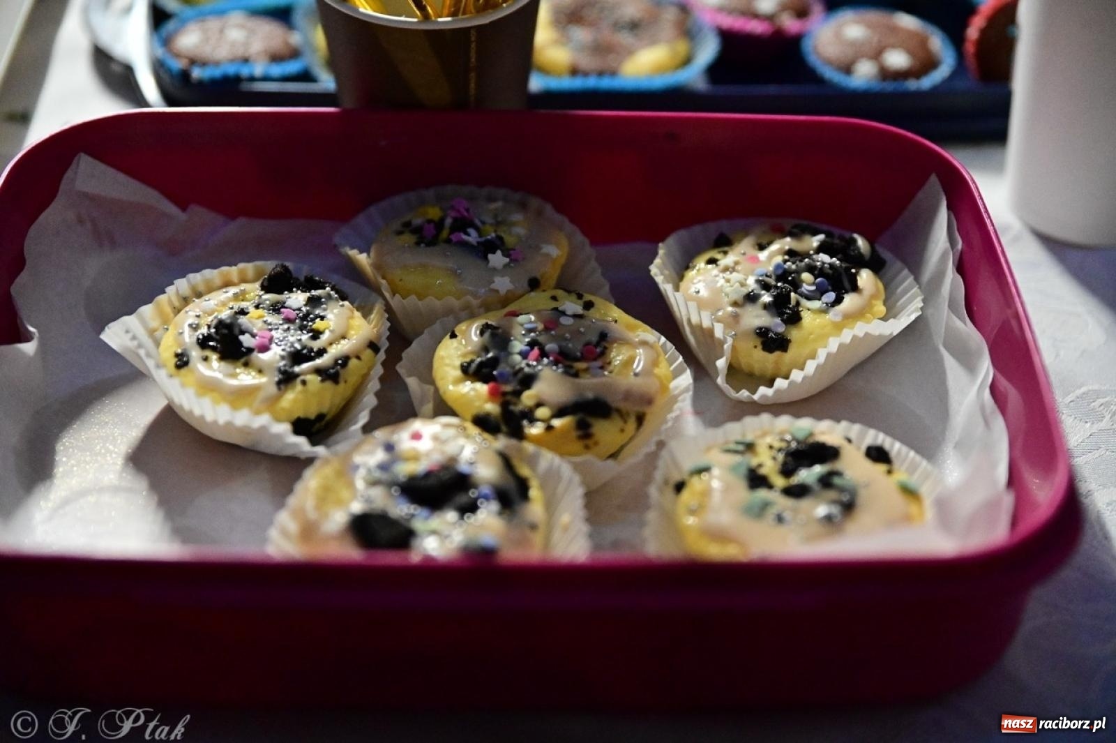 Zdjęcie w galerii na portalu naszraciborz.pl: Tłumy na Kiermaszu Bożonarodzeniowym w Pietrowicach Wielkich [FOTO i WIDEO] wiadomości z regionu
