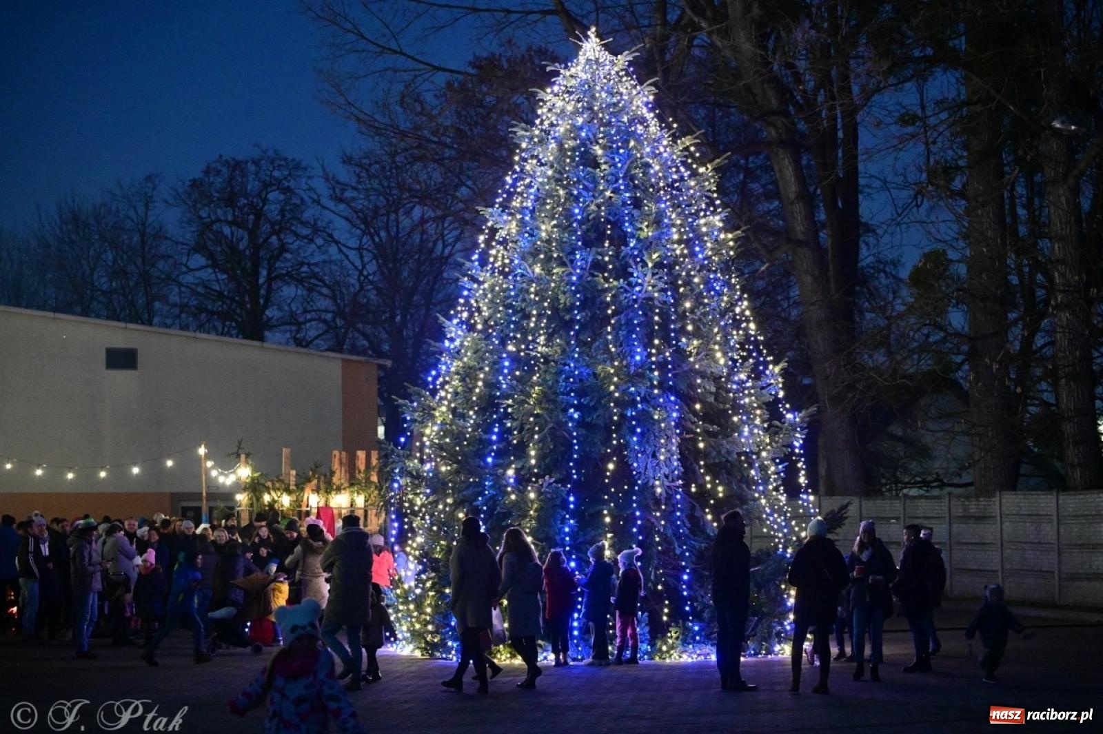 Zdjęcie w galerii na portalu naszraciborz.pl: Tłumy na Kiermaszu Bożonarodzeniowym w Pietrowicach Wielkich [FOTO i WIDEO] wiadomości z regionu