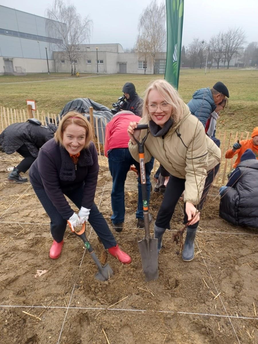 Zdjęcie w galerii na portalu naszraciborz.pl: Pierwszy las Miyawaki w Rybniku. Raciborskie urzędniczki włączyły się w akcję sadzenia wiadomości z regionu