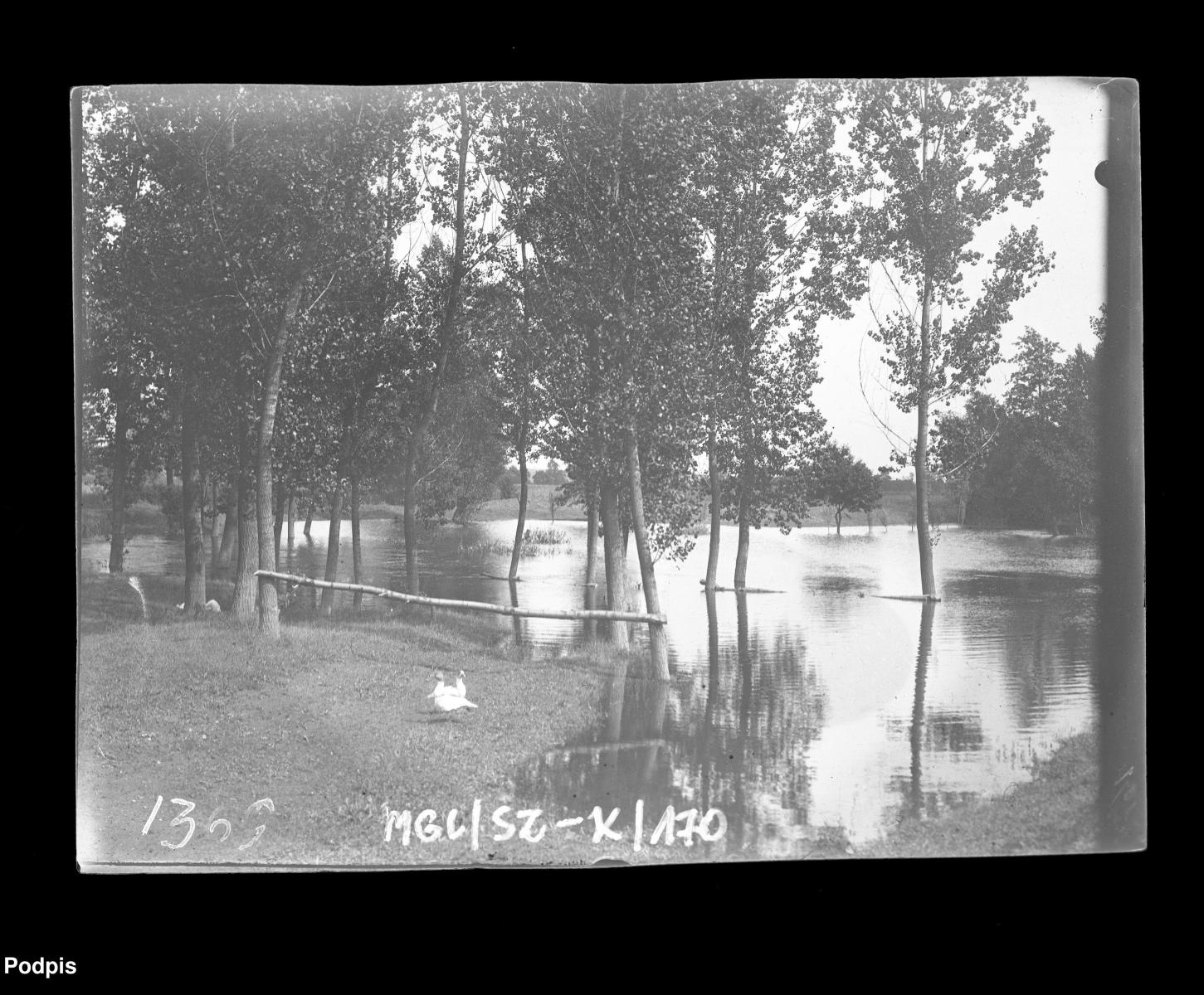 Zdjęcie w galerii na portalu naszraciborz.pl: Narodowe Archiwum Cyfrowe opublikowało unikalne przedwojenne zdjęcia powiatu raciborskiego [FOTO] wiadomości z regionu