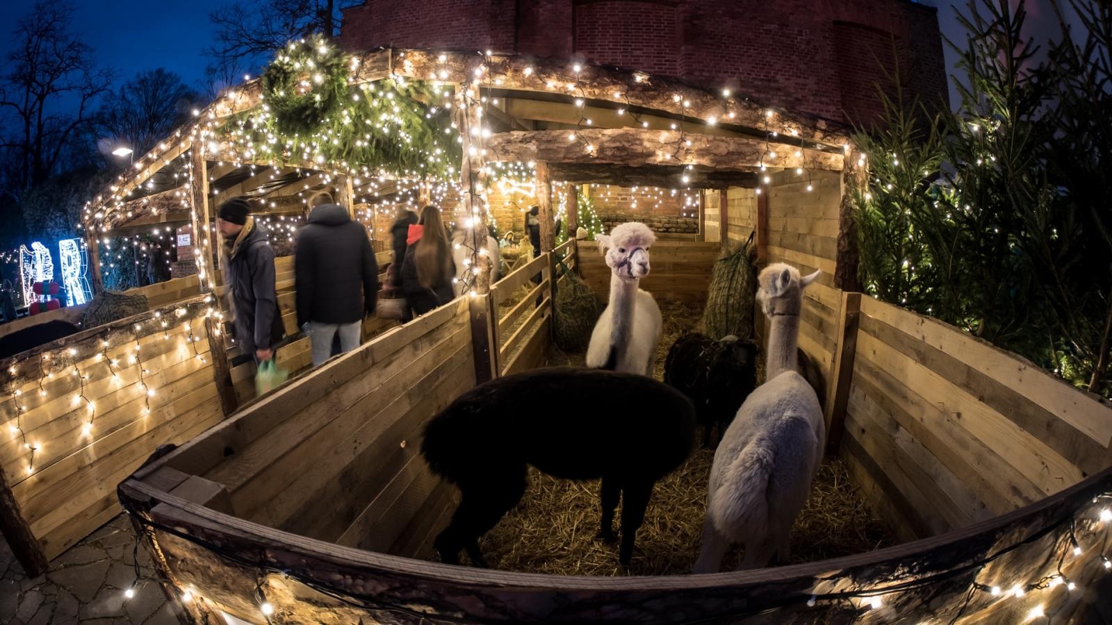 Zdjęcie w galerii na portalu naszraciborz.pl: Zamek Piastowski zaprasza na jarmark i muzyczną podróż do Wiednia [PROGRAM] wiadomości z regionu