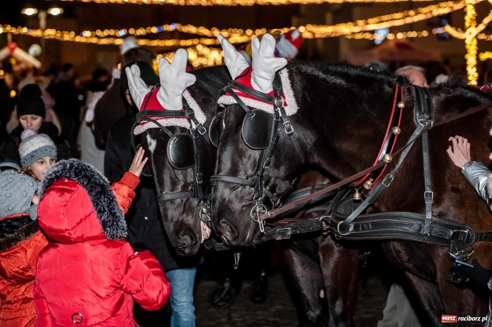 Zdjęcie w galerii na portalu naszraciborz.pl: Bajkowy zamek znów przyciągnął tłumy. Na dziedziniec wjechał św. Mikołaj w saniach [FOTO, WIDEO, PROGRAM NA WEEKEND] wiadomości z regionu